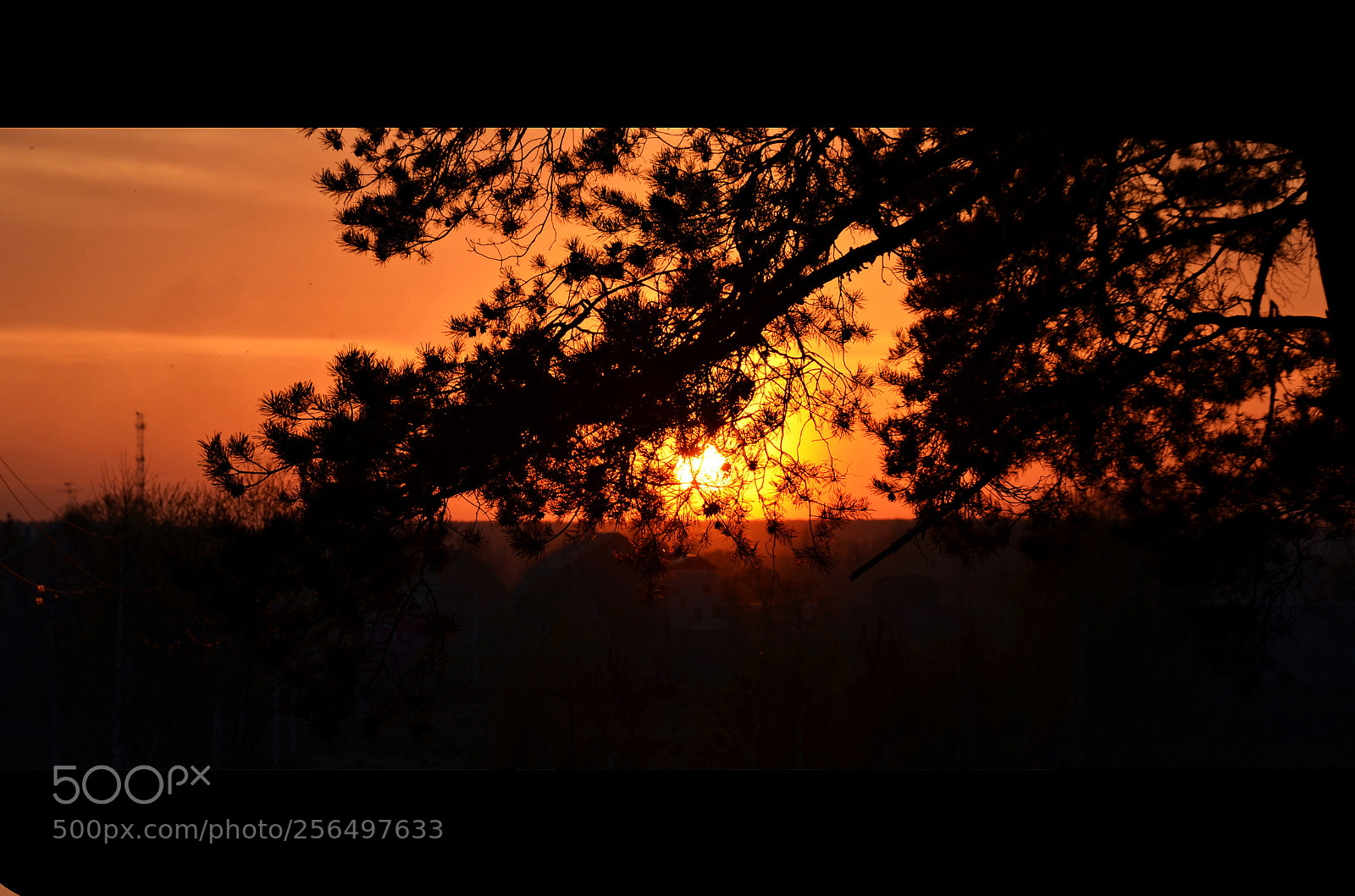Nikon D5100 sample photo. Sunset photography