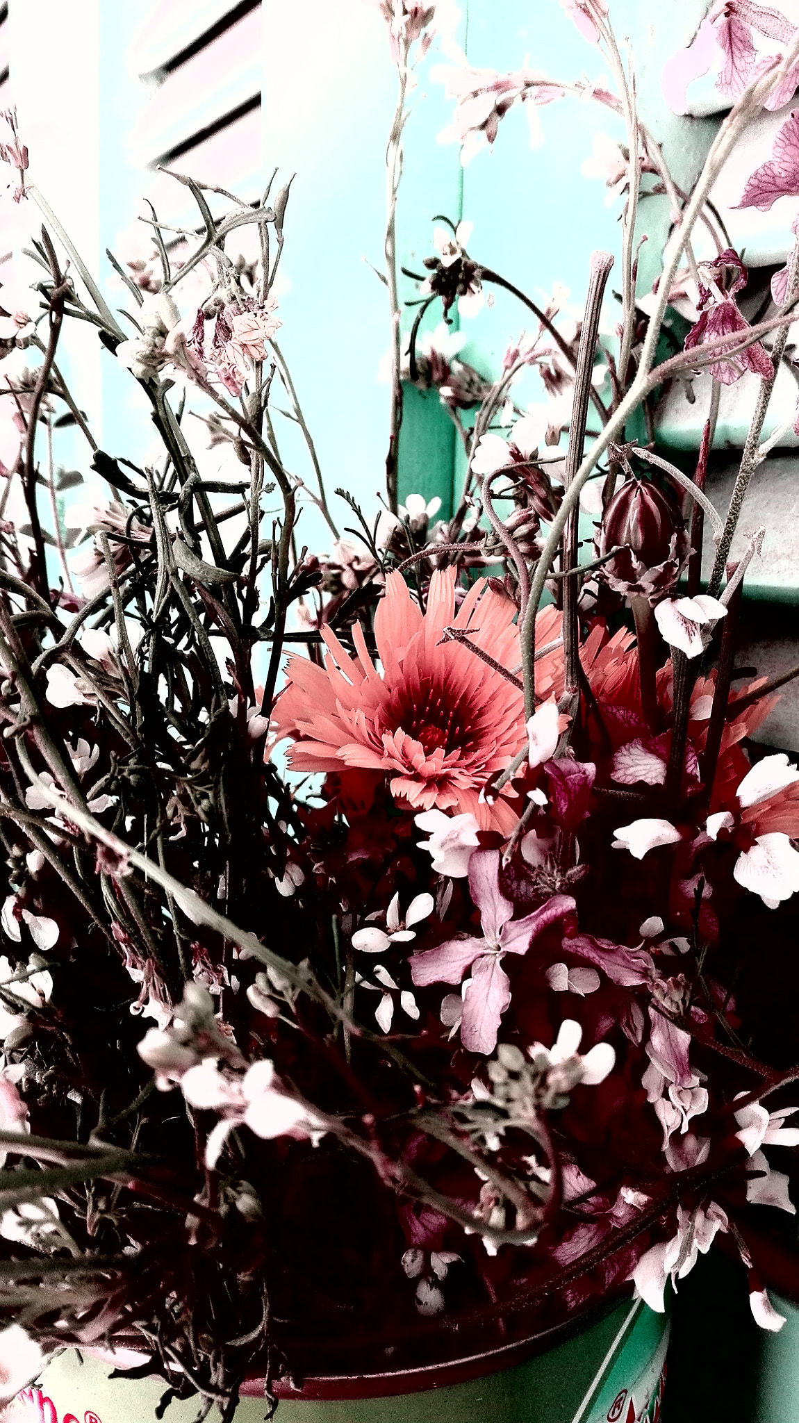 HUAWEI Y6II sample photo