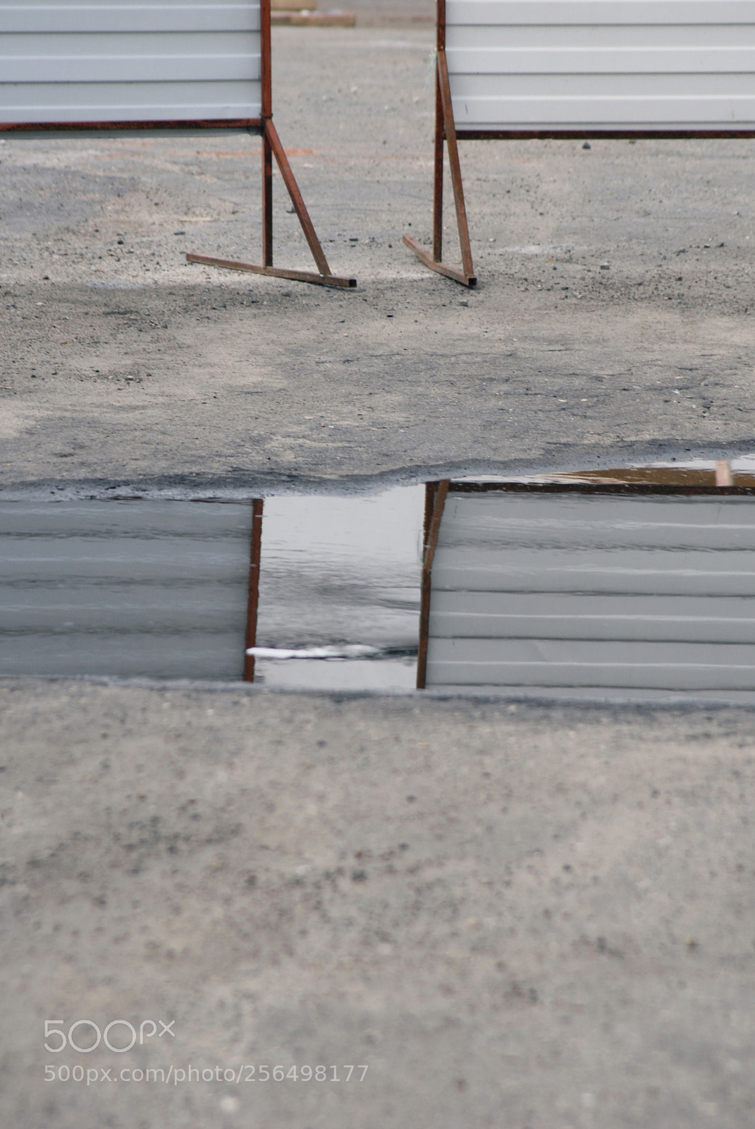 Nikon D200 sample photo. Together in reflection photography
