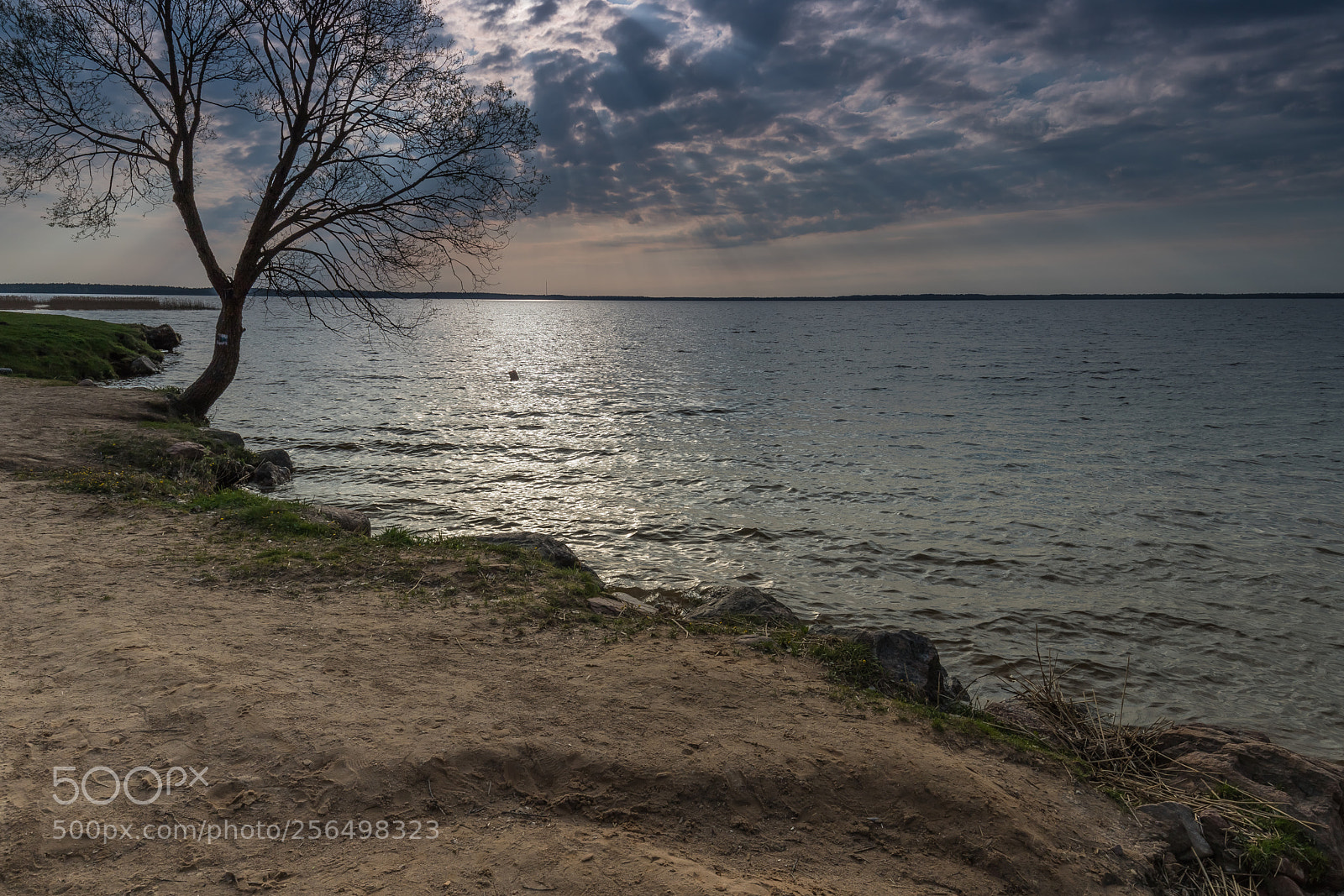 Canon EOS 6D Mark II sample photo. Sun rays photography