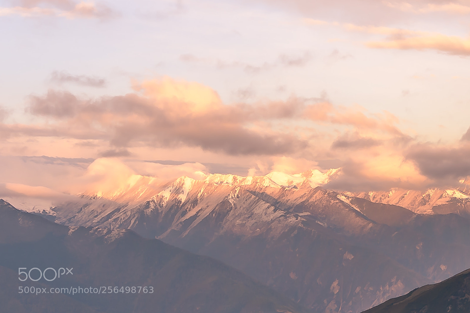 Nikon D850 sample photo. Golden sunlight casting on photography