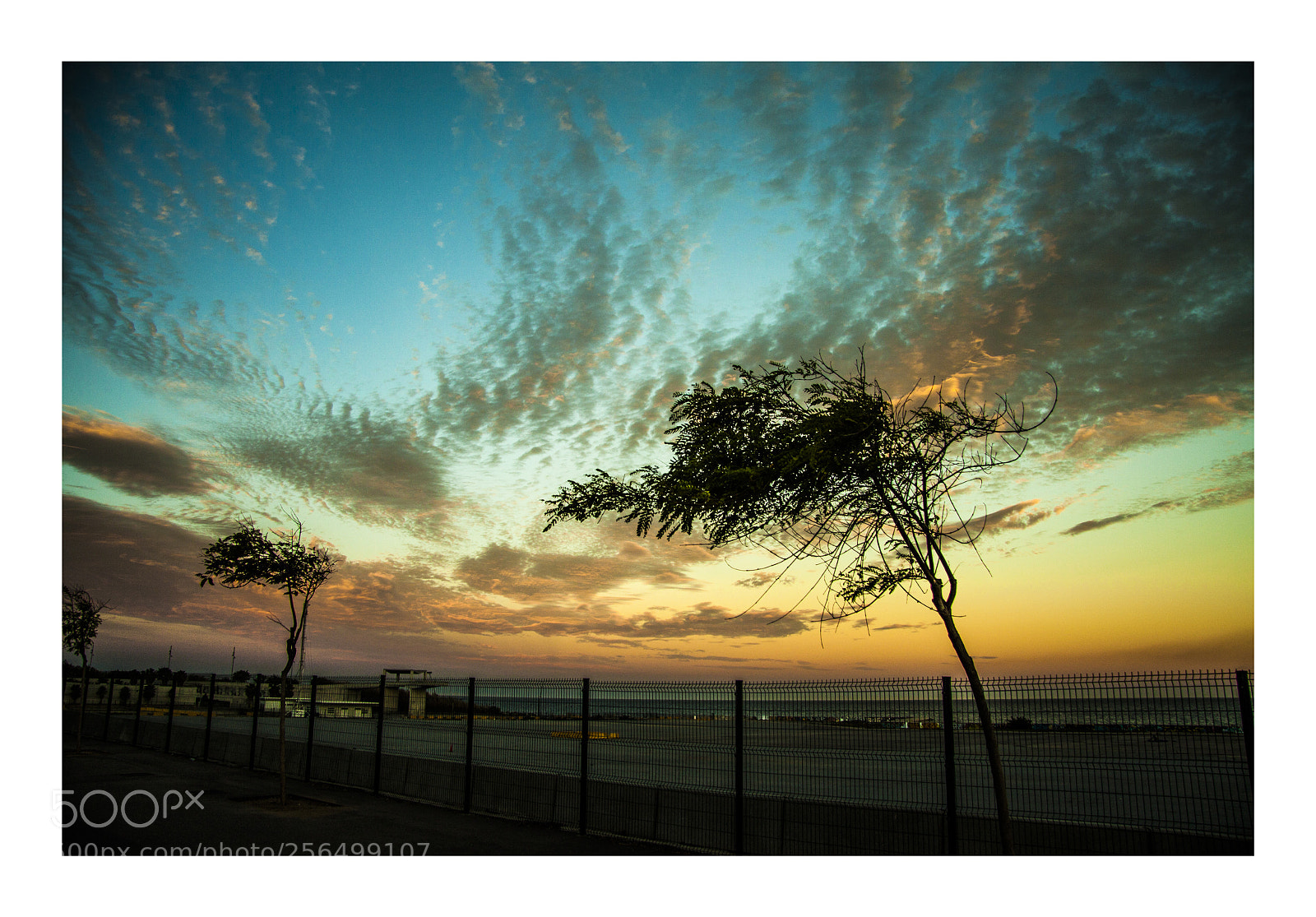 Canon EOS 50D sample photo. Sunset photography