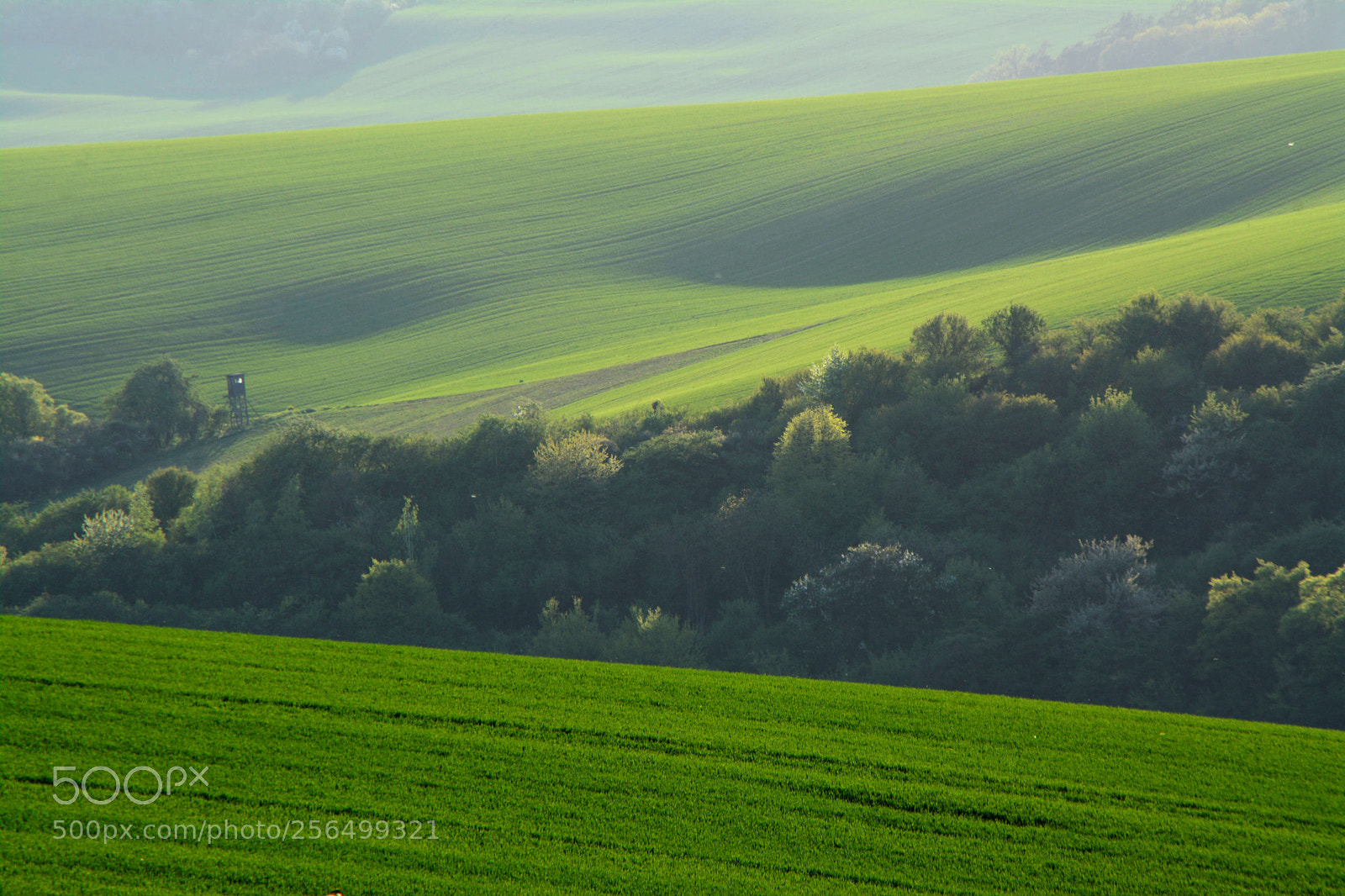 Nikon D7100 sample photo. Green fields photography