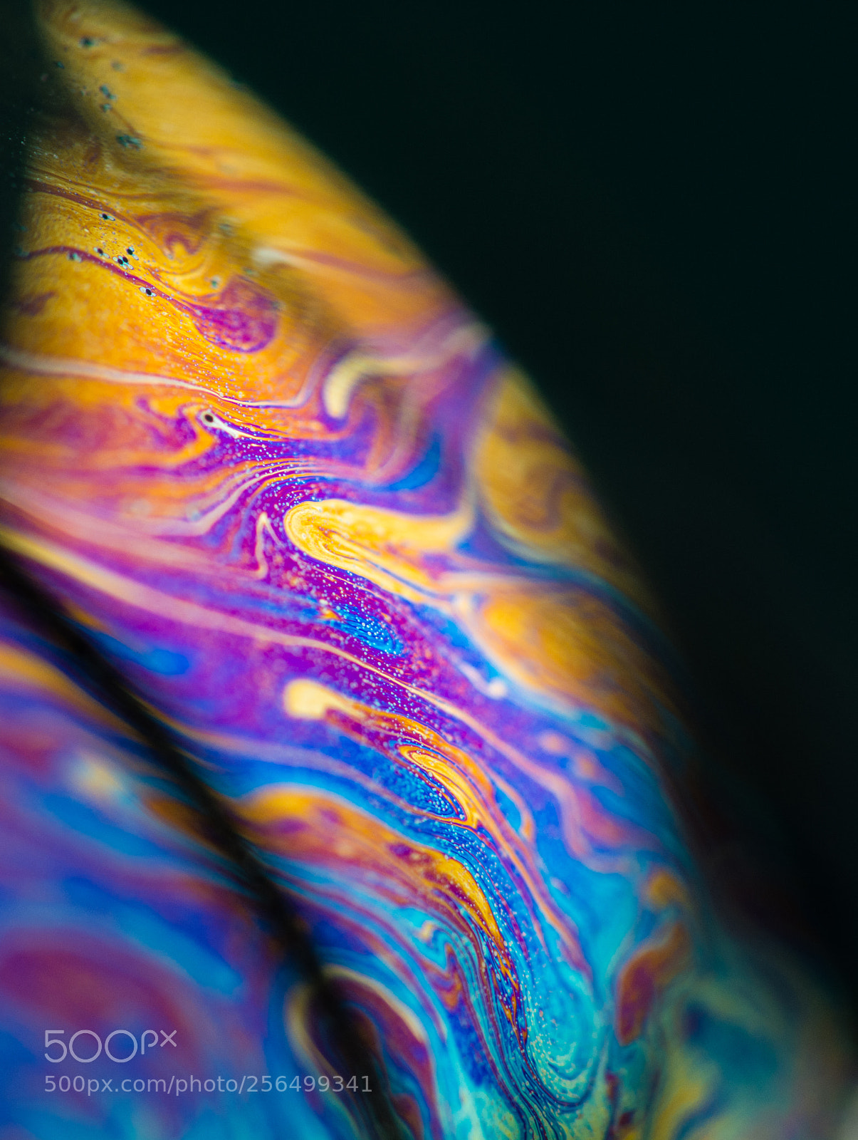 Nikon D7100 sample photo. Soap bubble's sheen photography