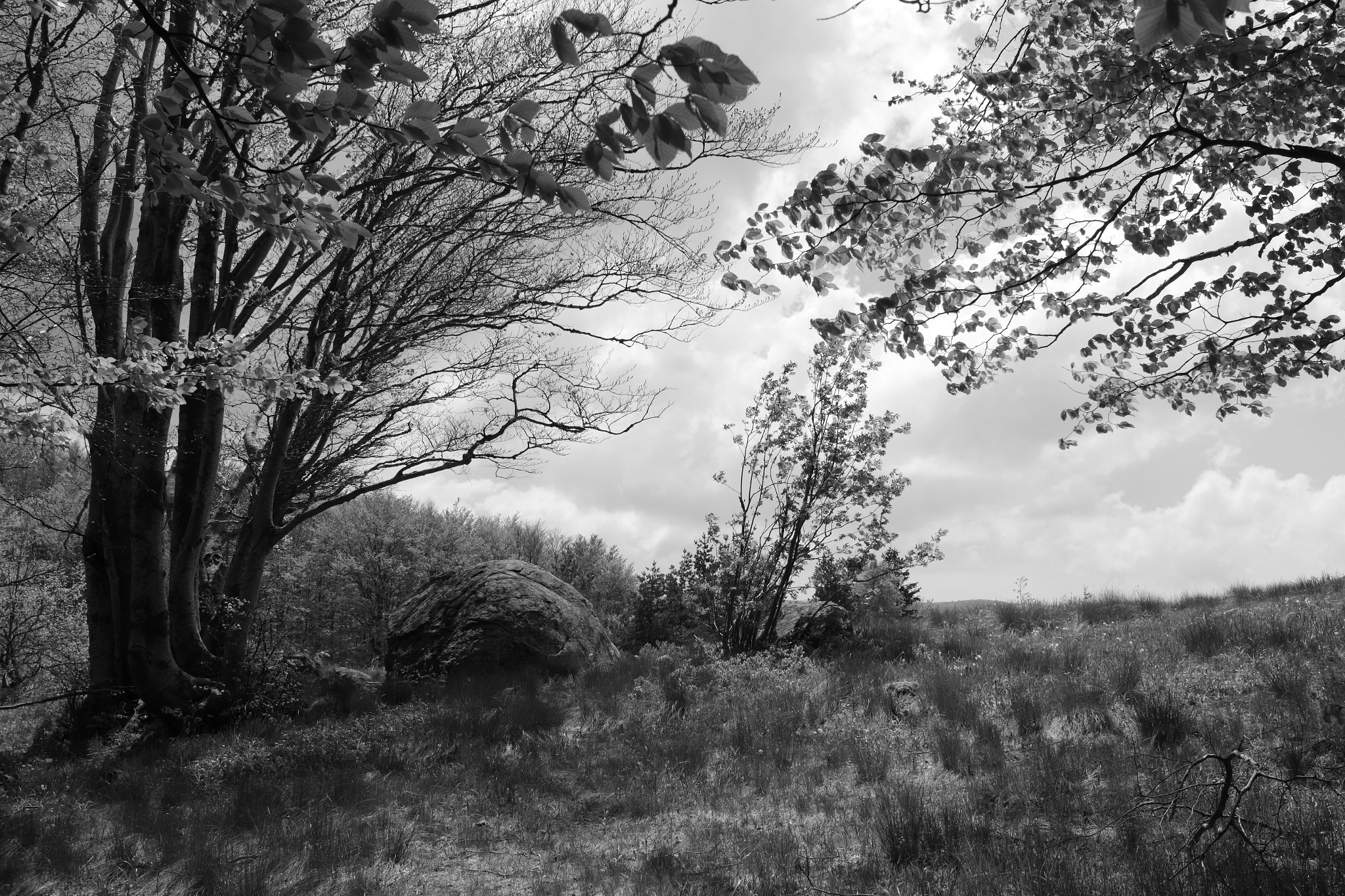 Canon EF-S 24mm F2.8 STM sample photo. On a small hill photography