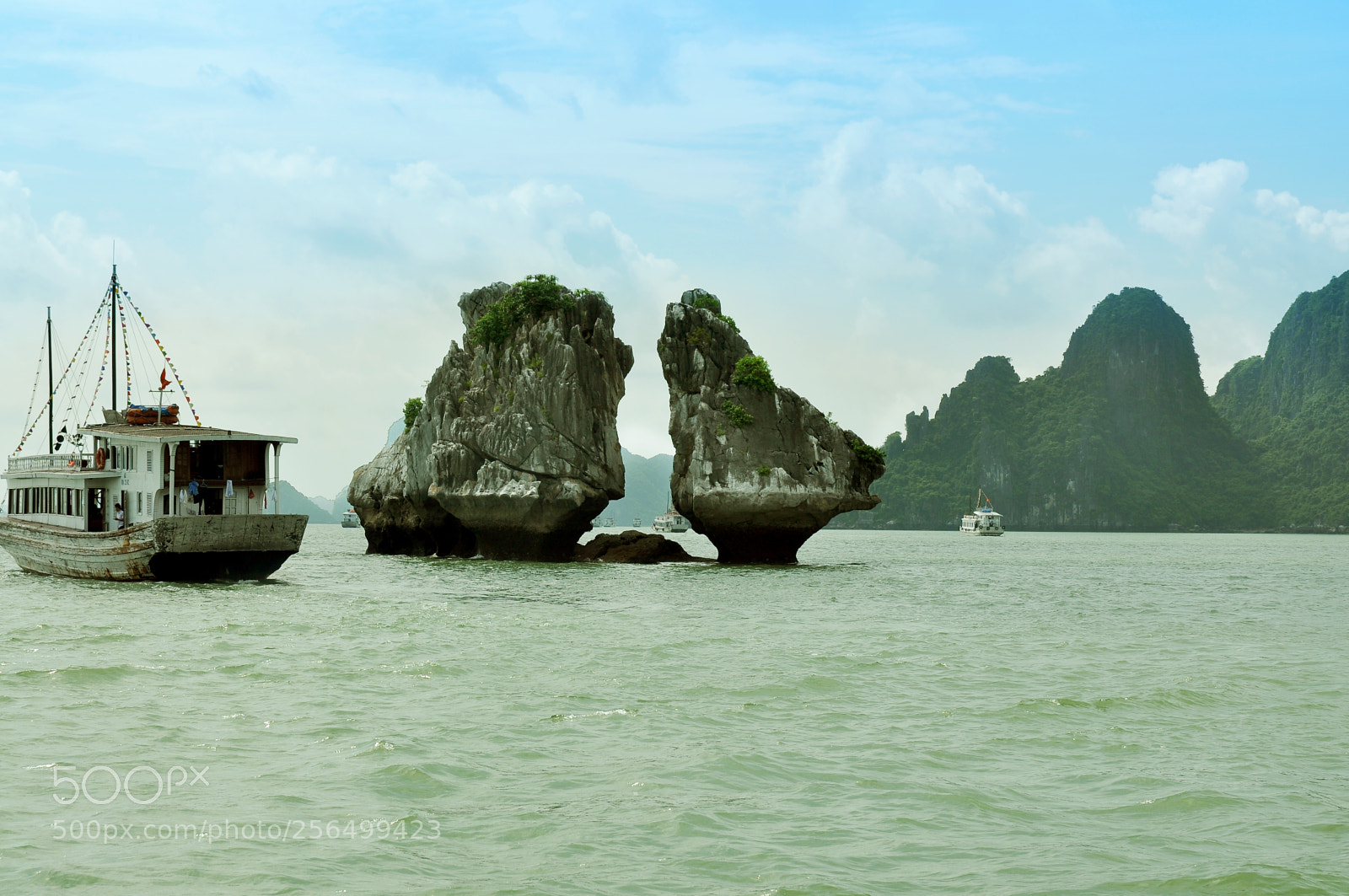 Nikon D90 sample photo. Phong canh photography