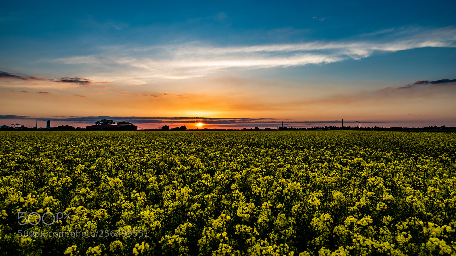 Nikon D810 sample photo. Sunset photography