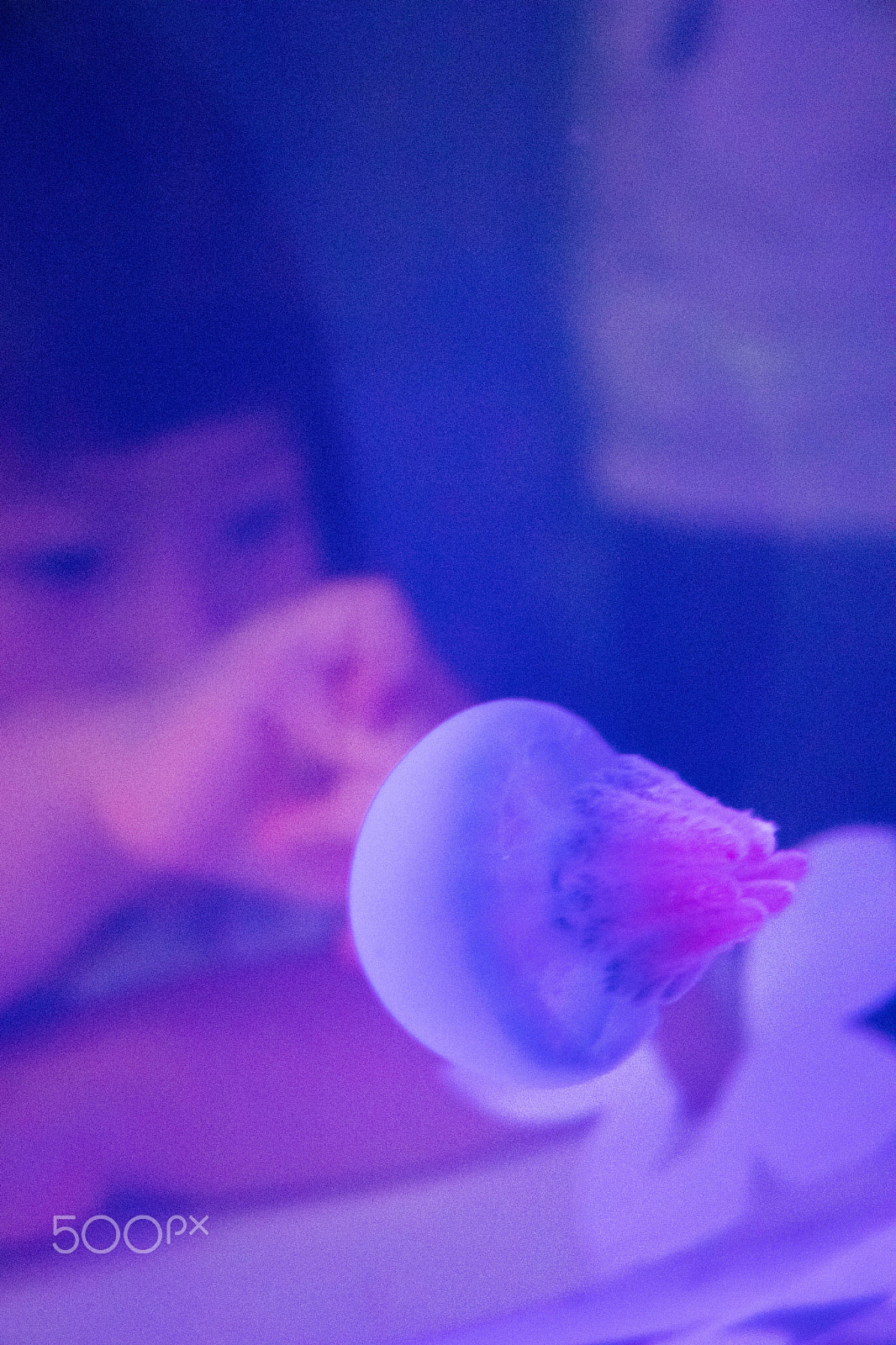 Canon EOS 800D (EOS Rebel T7i / EOS Kiss X9i) sample photo. Jellyfish galaxy photography