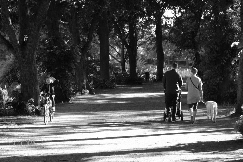 Fujifilm X-T2 sample photo. Passing  photography