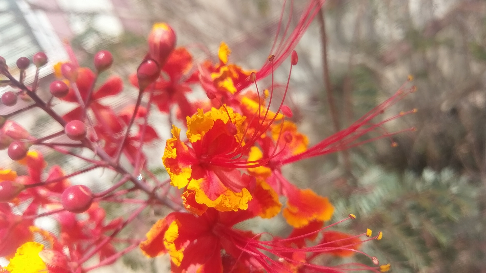 HTC 10 sample photo