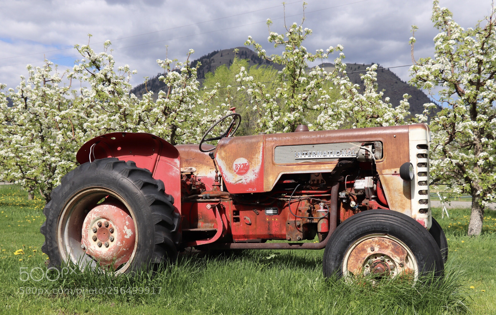 Canon EOS 800D (EOS Rebel T7i / EOS Kiss X9i) sample photo. International tractor  photography