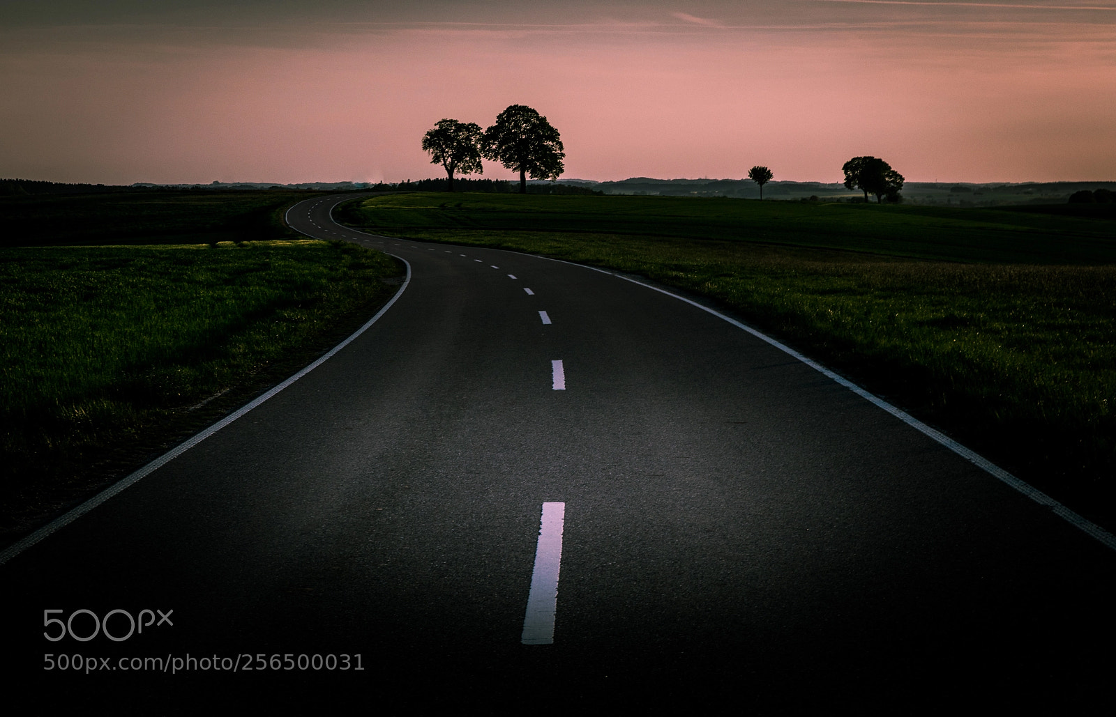 Canon EOS 5D Mark IV sample photo. The curvy road photography