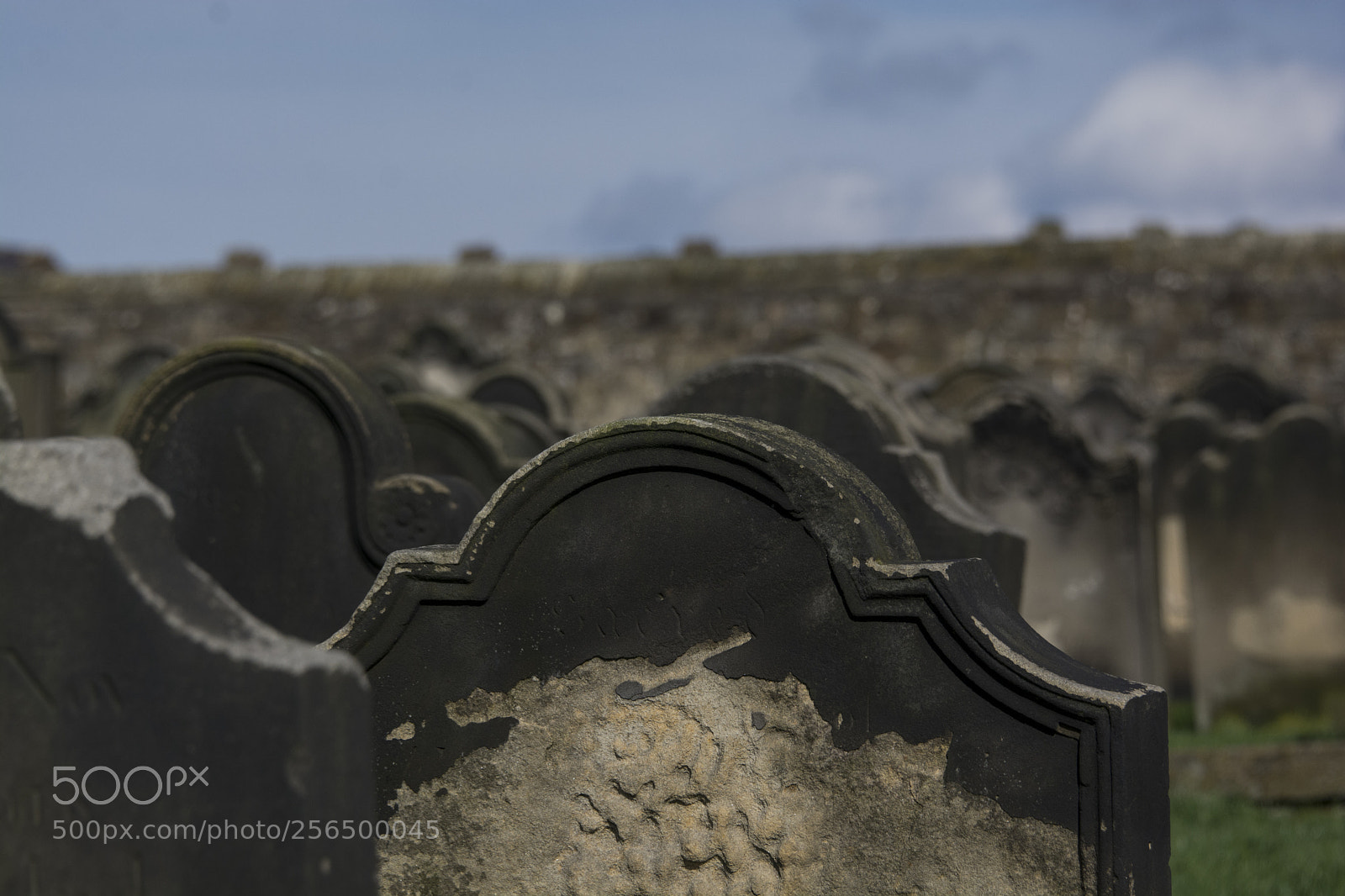 Nikon D7100 sample photo. Jpg photography