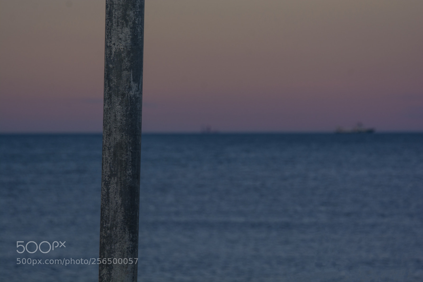 Nikon D7100 sample photo. Jpg photography