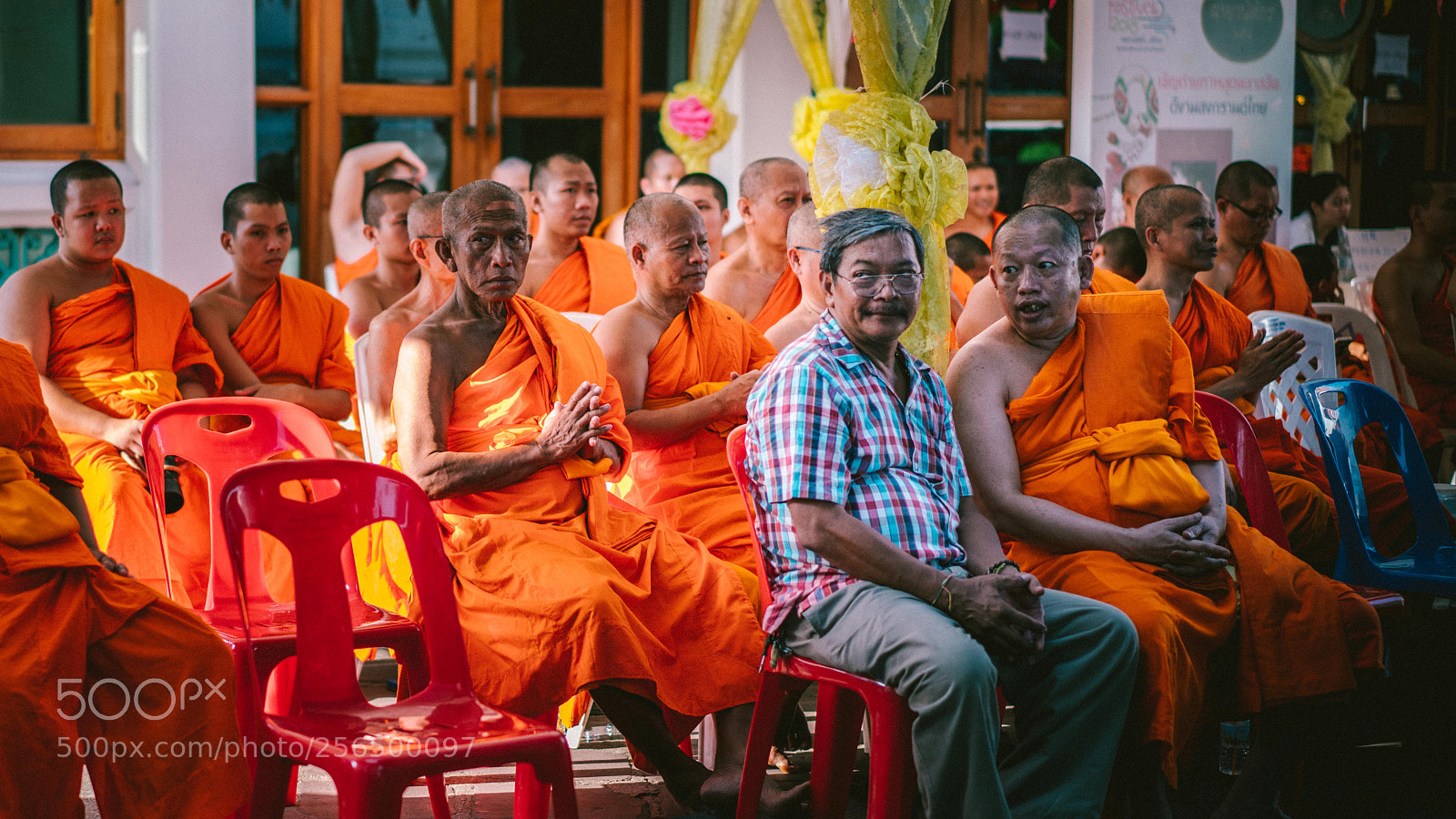 Sony a7R II sample photo. Hey look! photography