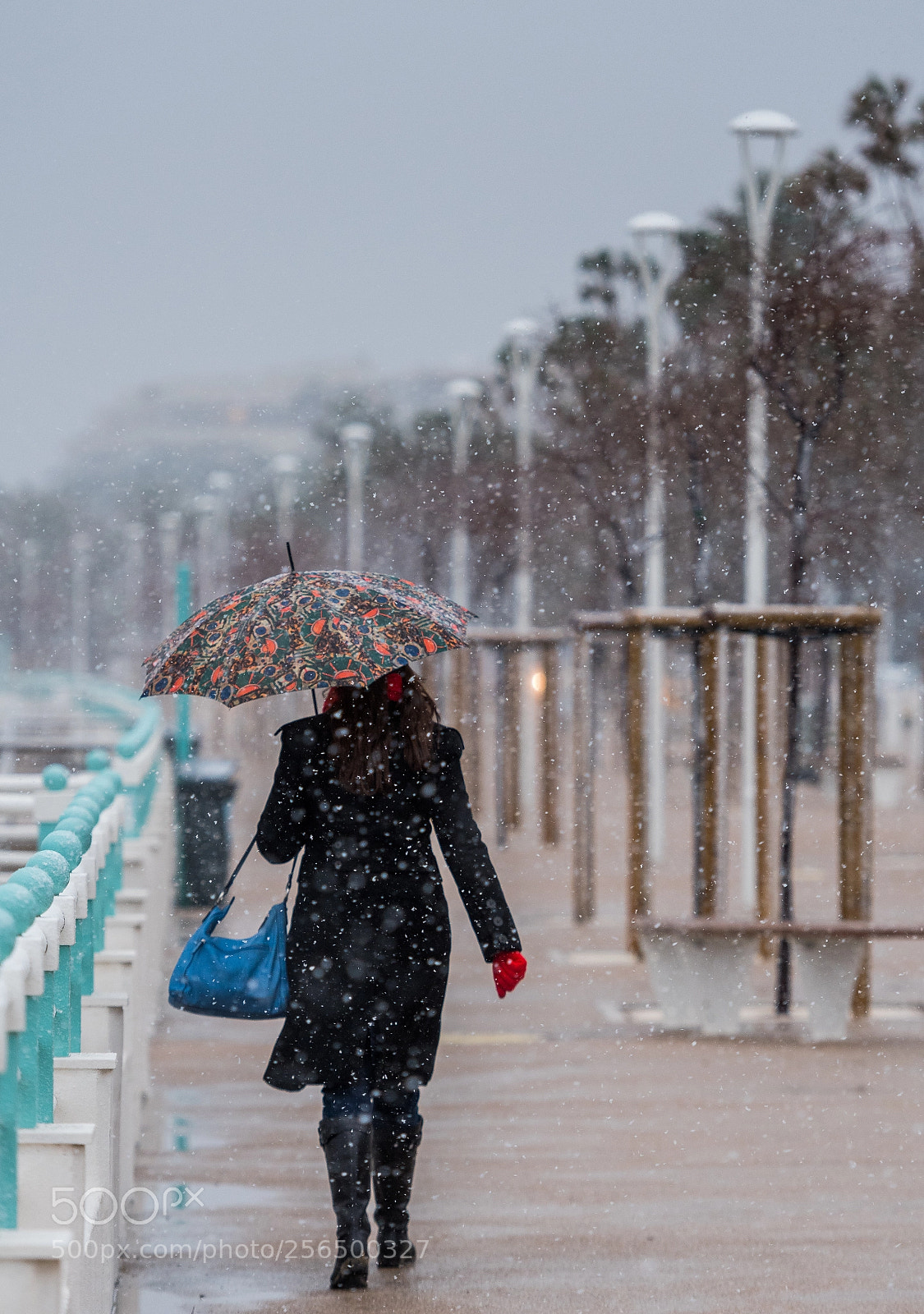 Nikon D500 sample photo. Snow & umbrella photography
