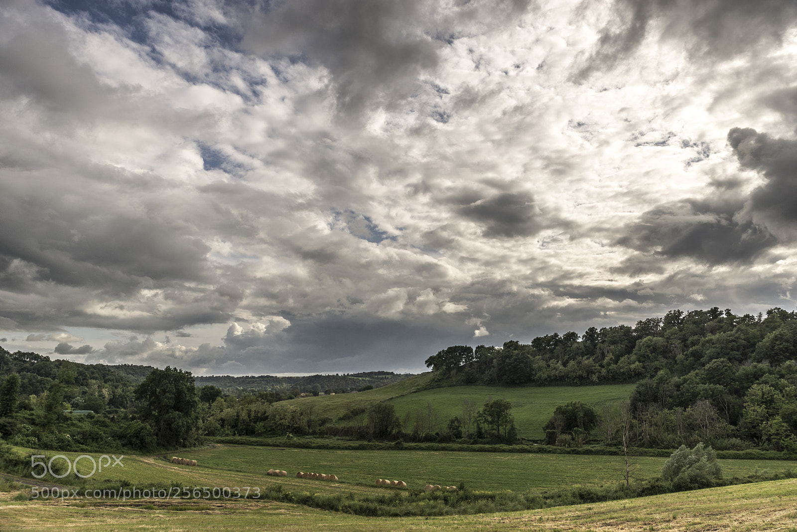 Nikon D610 sample photo. La primavera photography