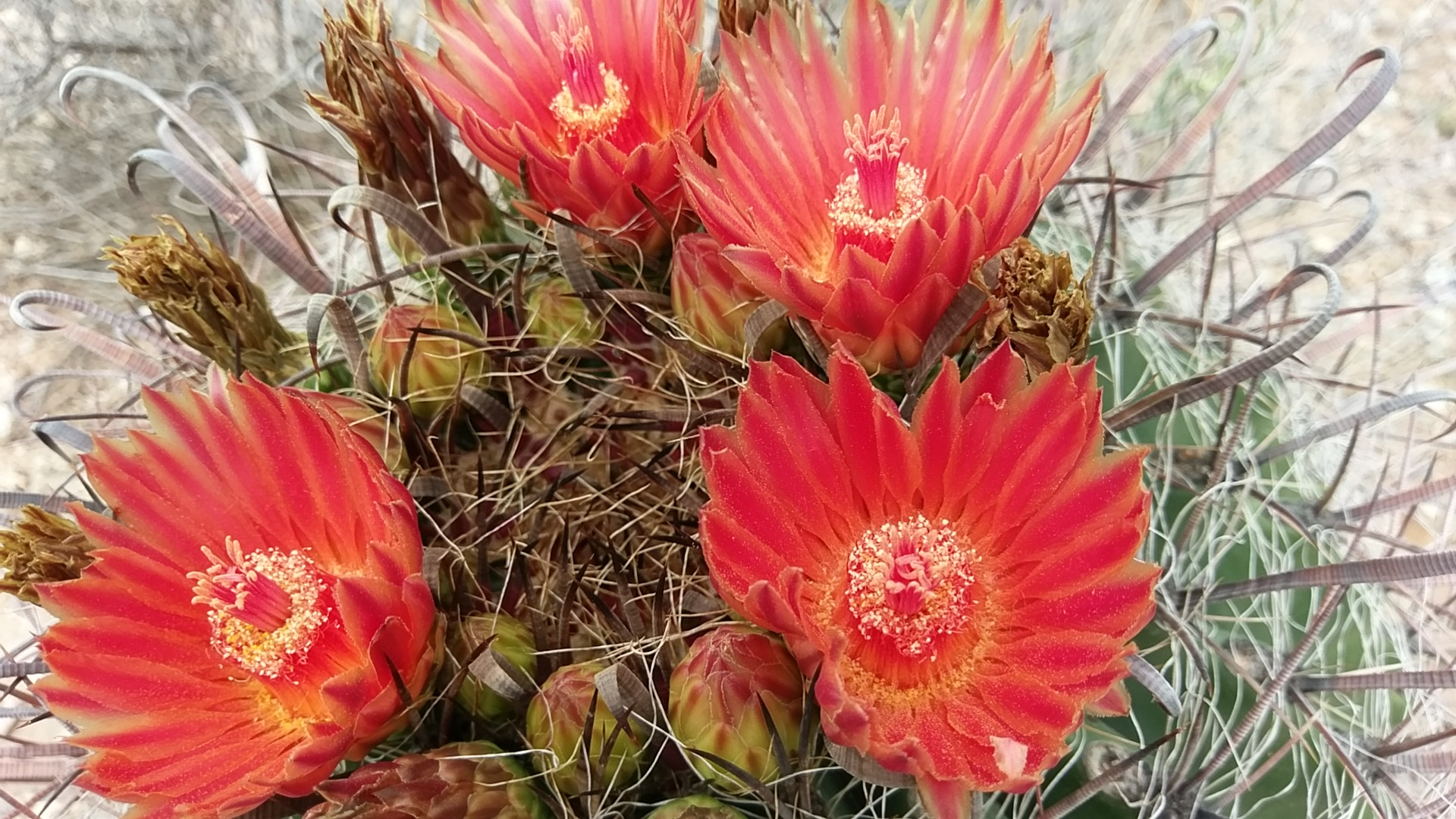 HTC 10 sample photo