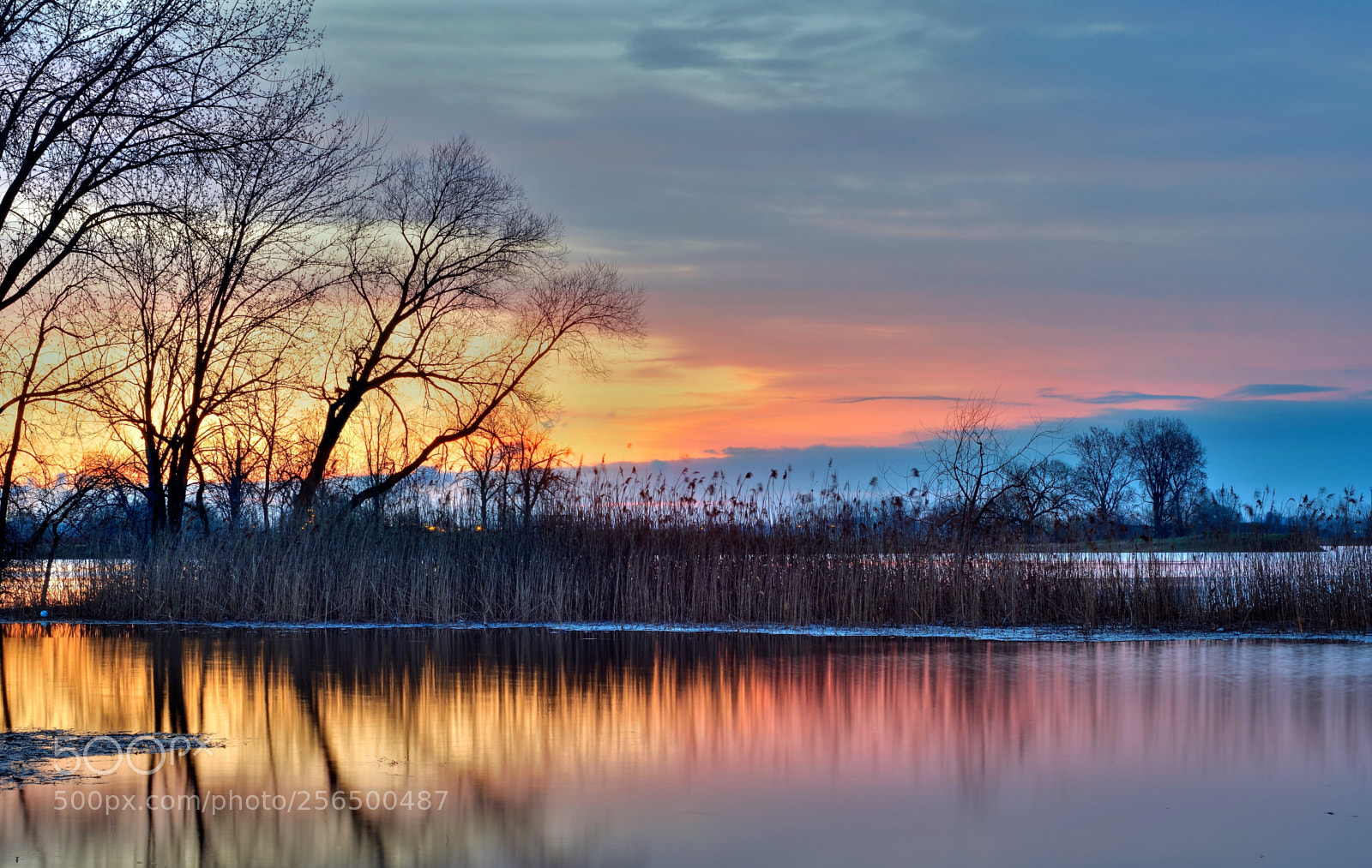 Olympus OM-D E-M5 II sample photo. Colorful dawn photography