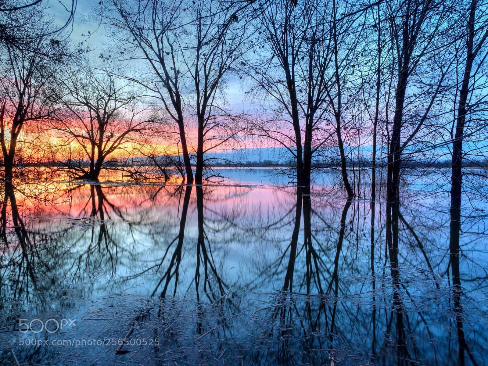 Olympus OM-D E-M5 II sample photo. Colorful dawn photography