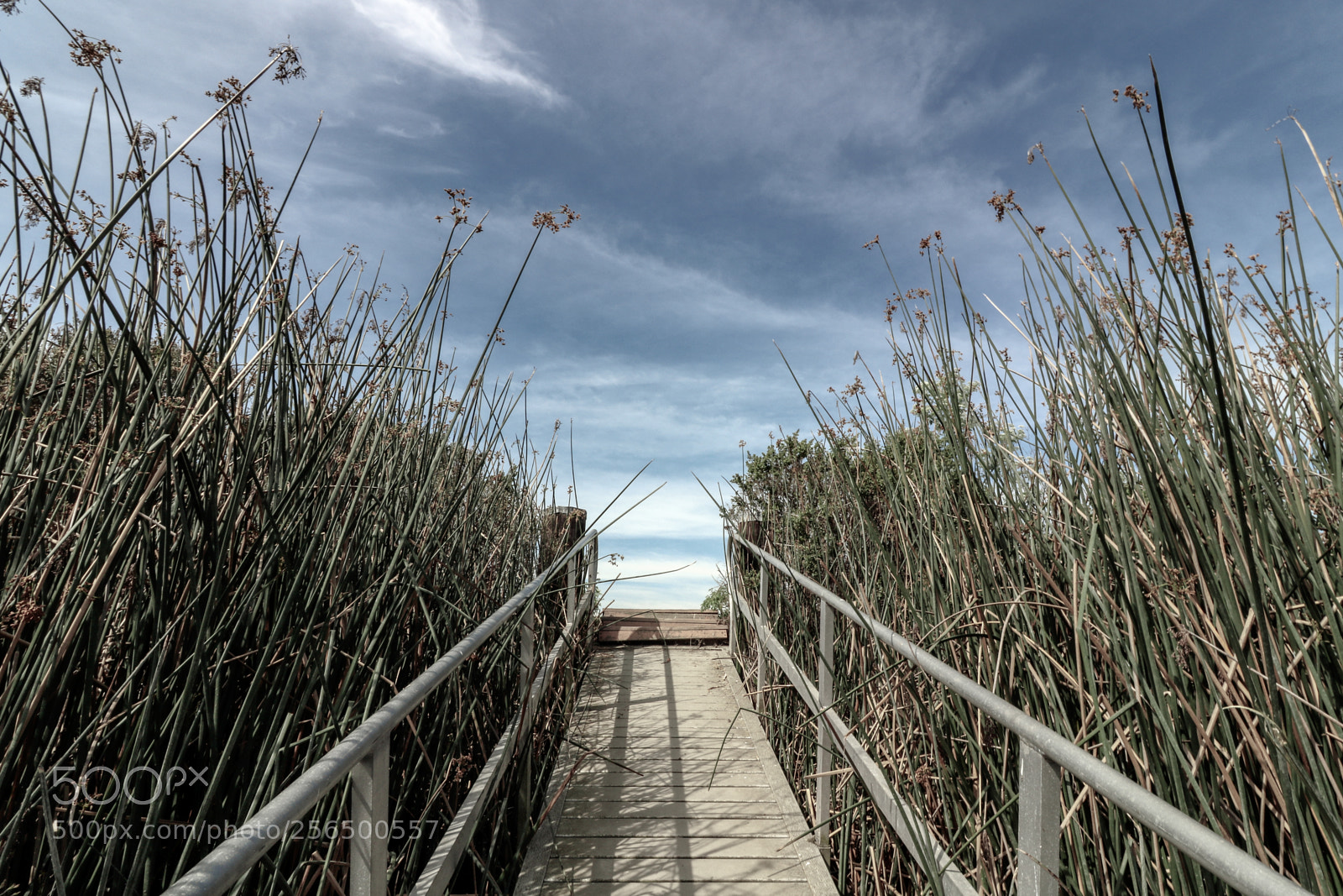 Canon EOS 750D (EOS Rebel T6i / EOS Kiss X8i) sample photo. Ramp near marshes photography