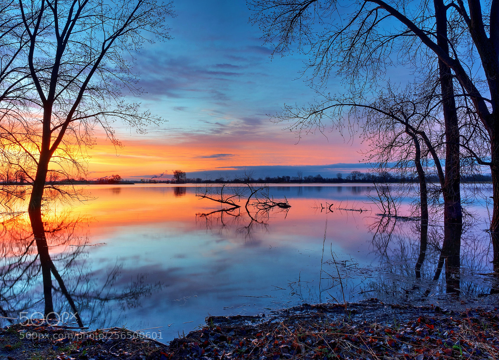 Olympus OM-D E-M5 II sample photo. Colorful dawn photography
