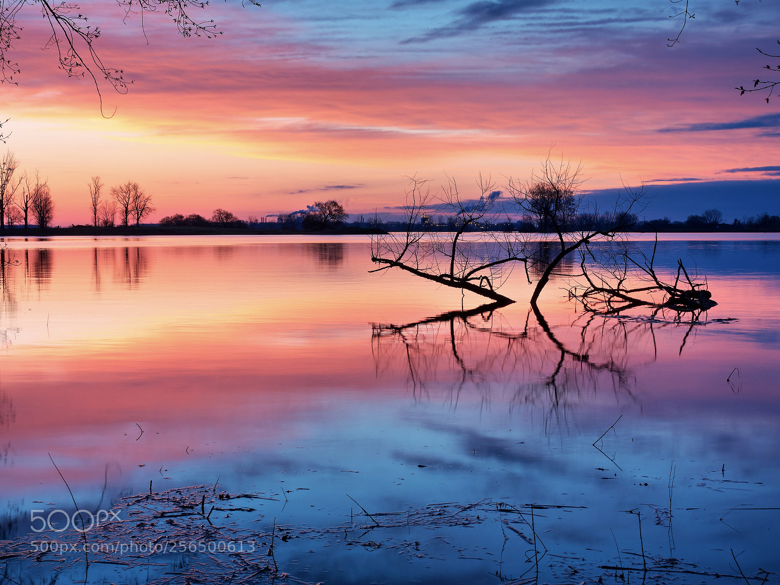 Olympus OM-D E-M5 II sample photo. Colorful dawn photography