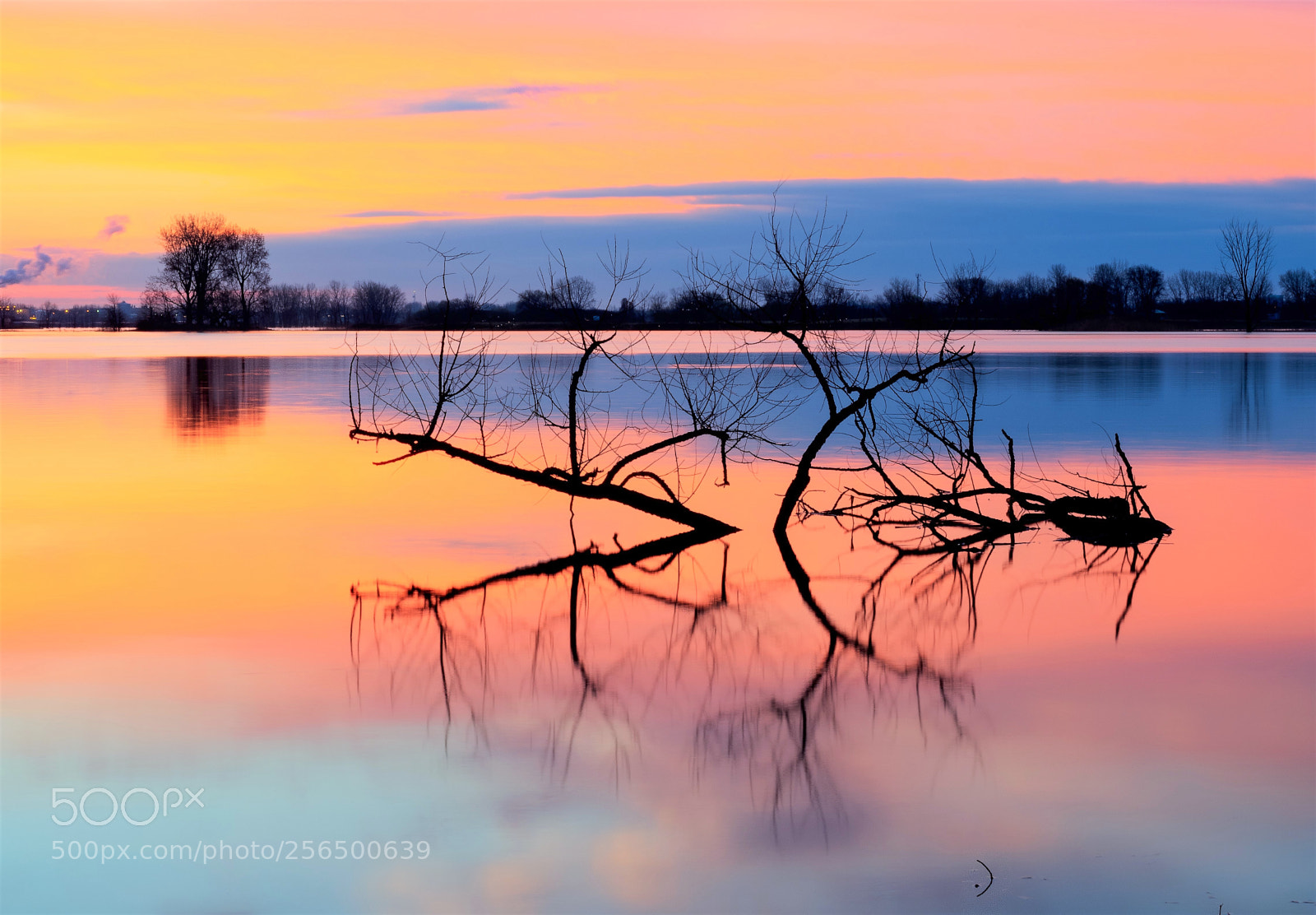 Olympus OM-D E-M5 II sample photo. Colorful dawn photography