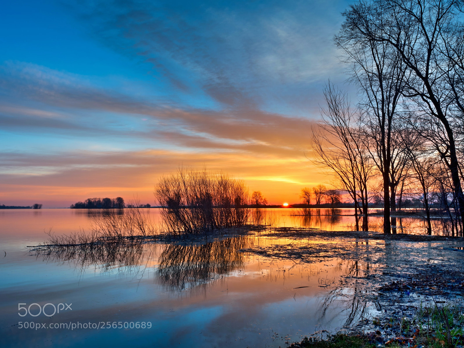 Olympus OM-D E-M5 II sample photo. Colorful dawn photography