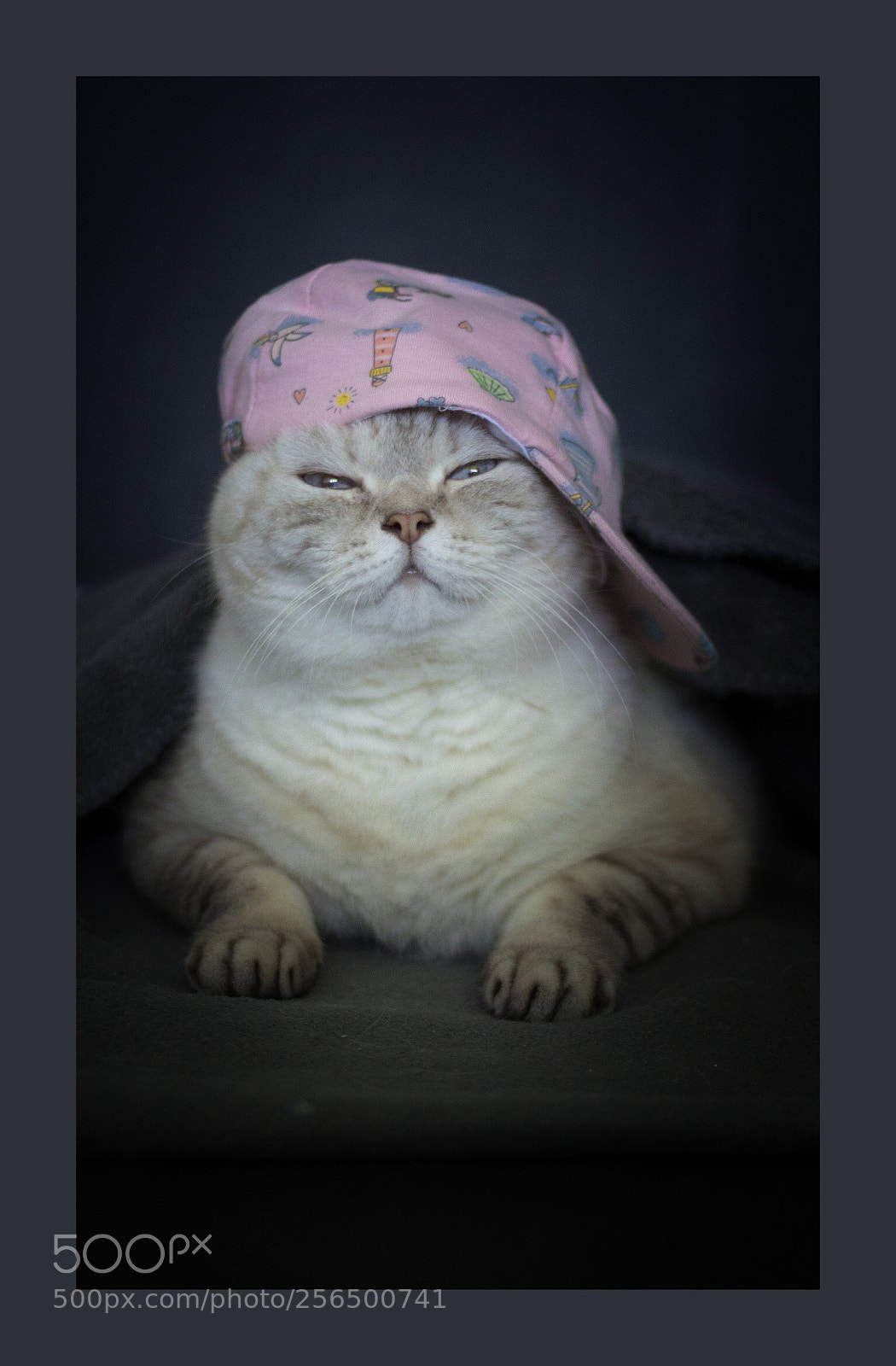 Canon EOS 700D (EOS Rebel T5i / EOS Kiss X7i) sample photo. Funny face photography