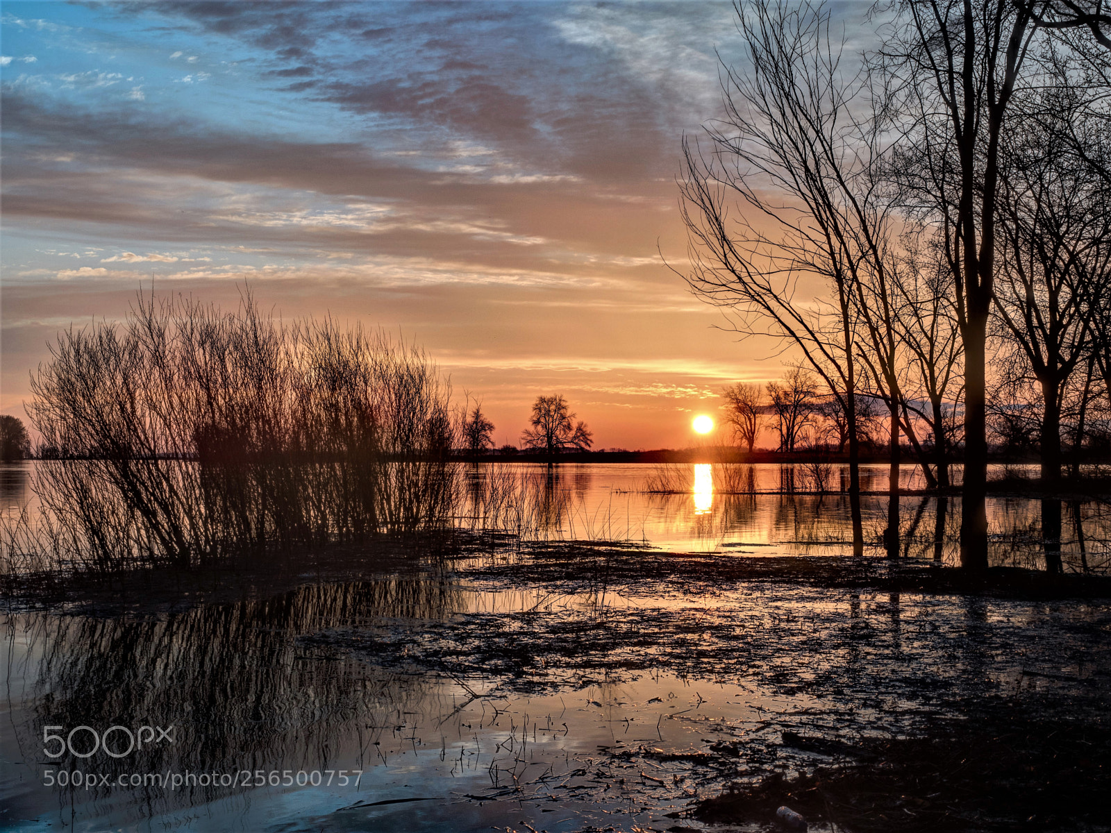 Olympus OM-D E-M5 II sample photo. Colorful dawn photography