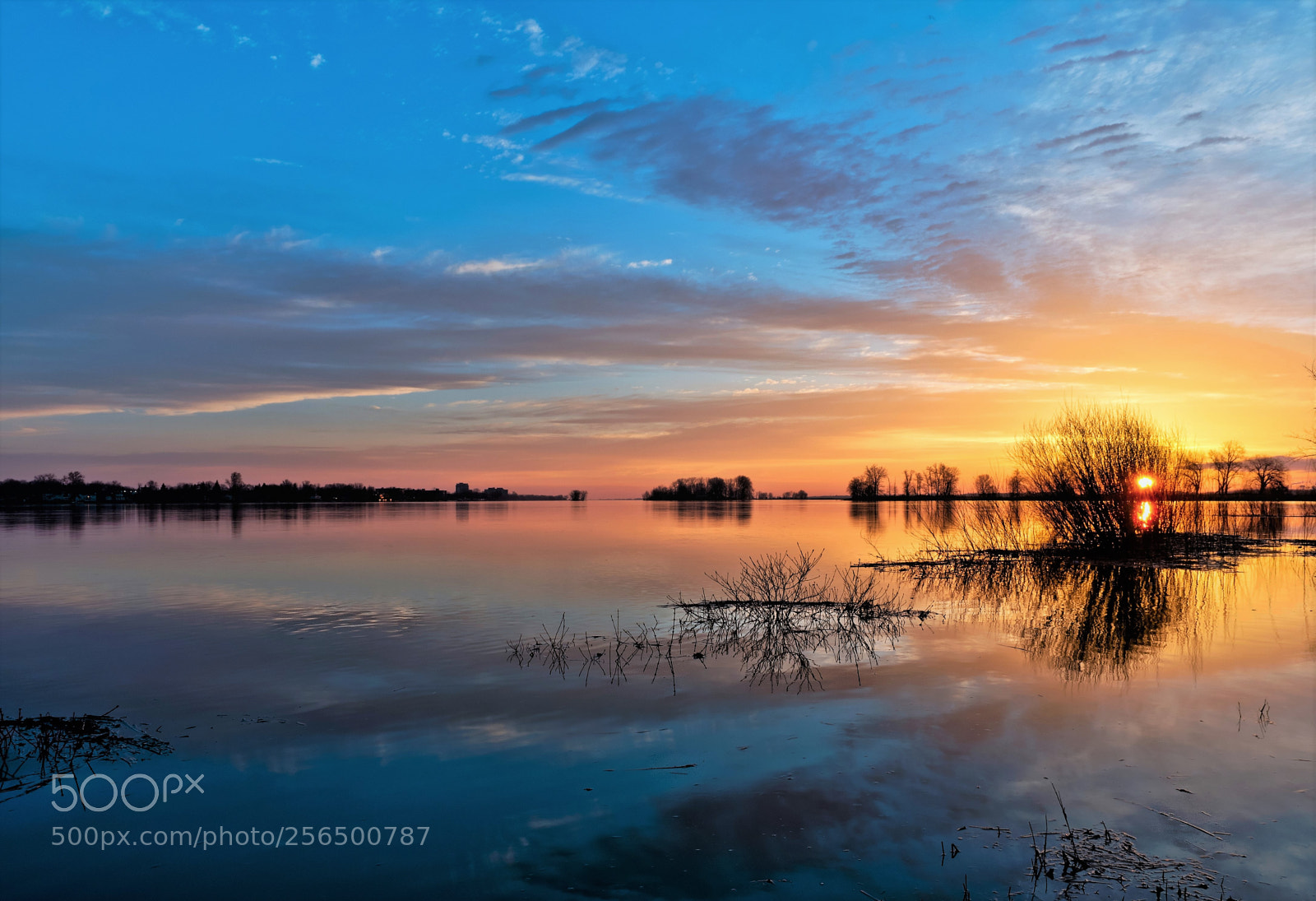 Olympus OM-D E-M5 II sample photo. Colorful dawn photography