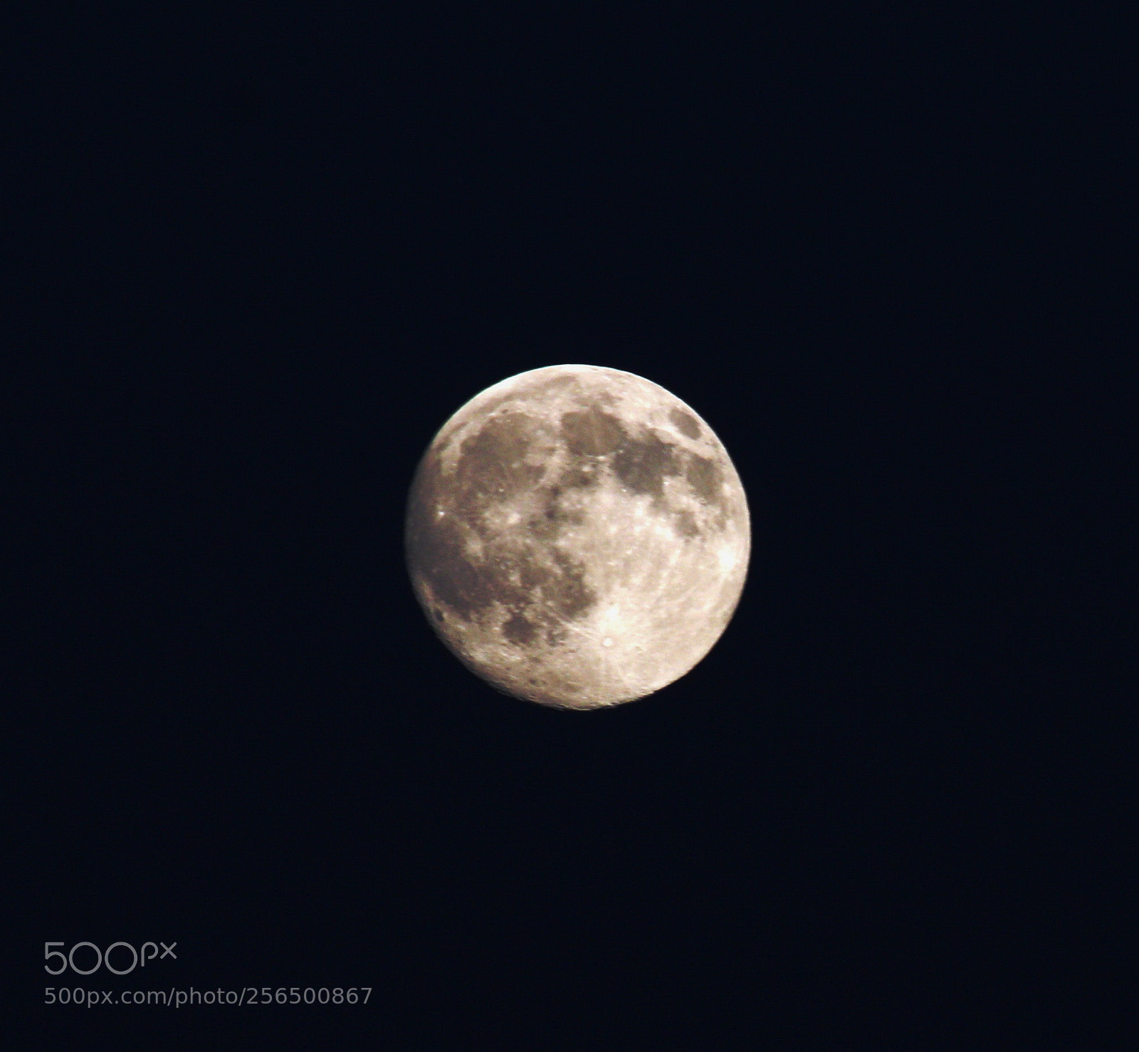 Canon EOS 70D sample photo. The light of night photography