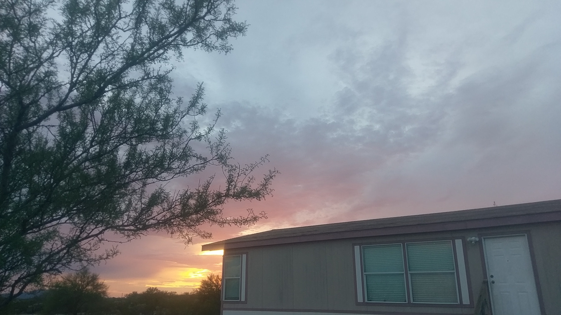 HTC 10 sample photo