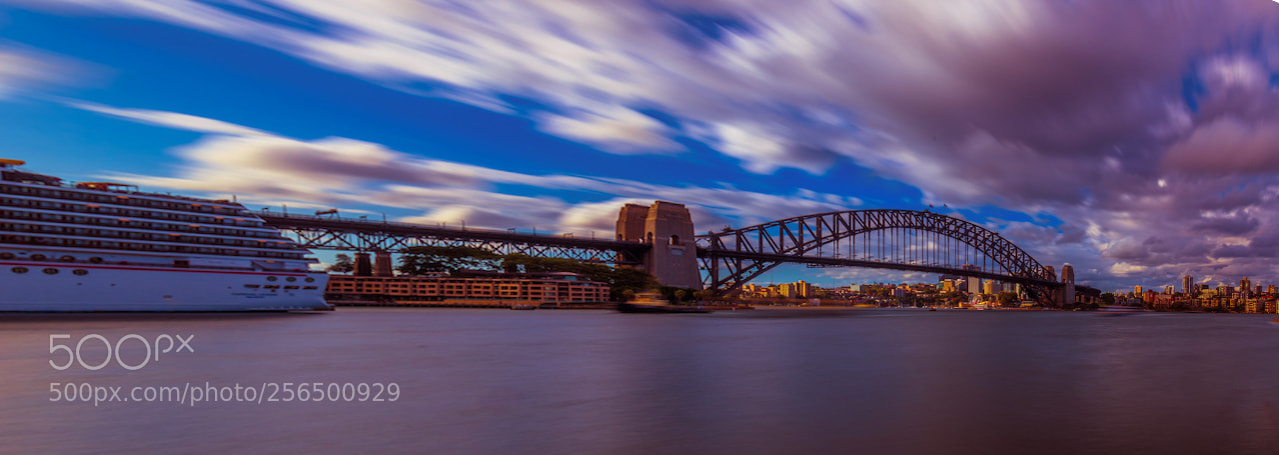 Nikon D810 sample photo. Harbor bridge photography