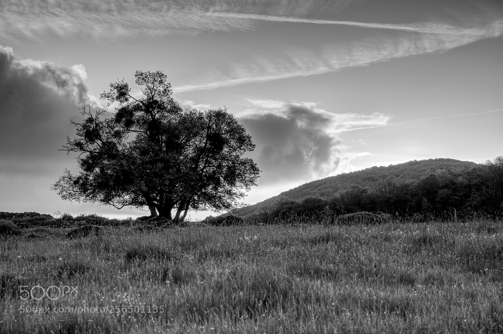 Sony a7R sample photo. My first hdr photography