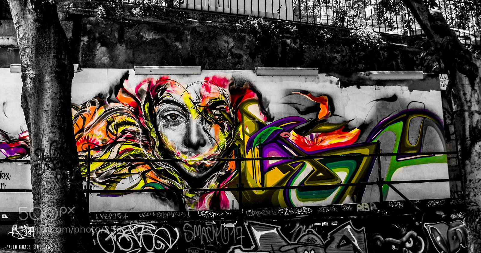 Nikon 1 J5 sample photo. A cara do homem photography