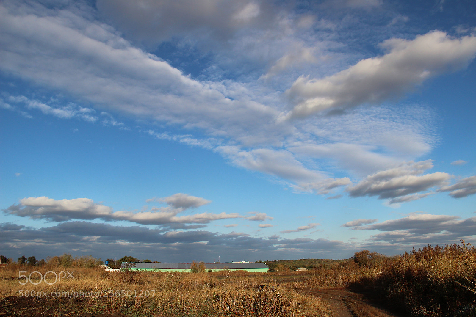 Canon EF-S 18-135mm F3.5-5.6 IS sample photo. [] photography