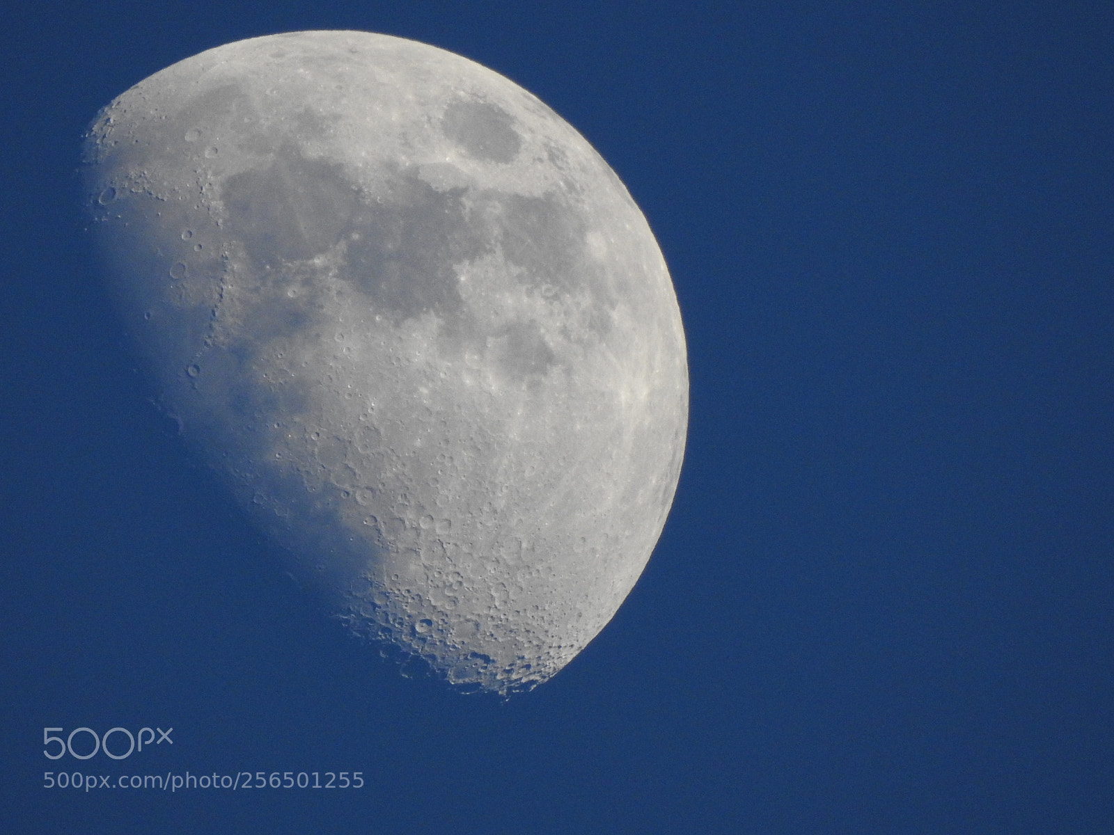 Nikon Coolpix P900 sample photo. Moon in the day. photography
