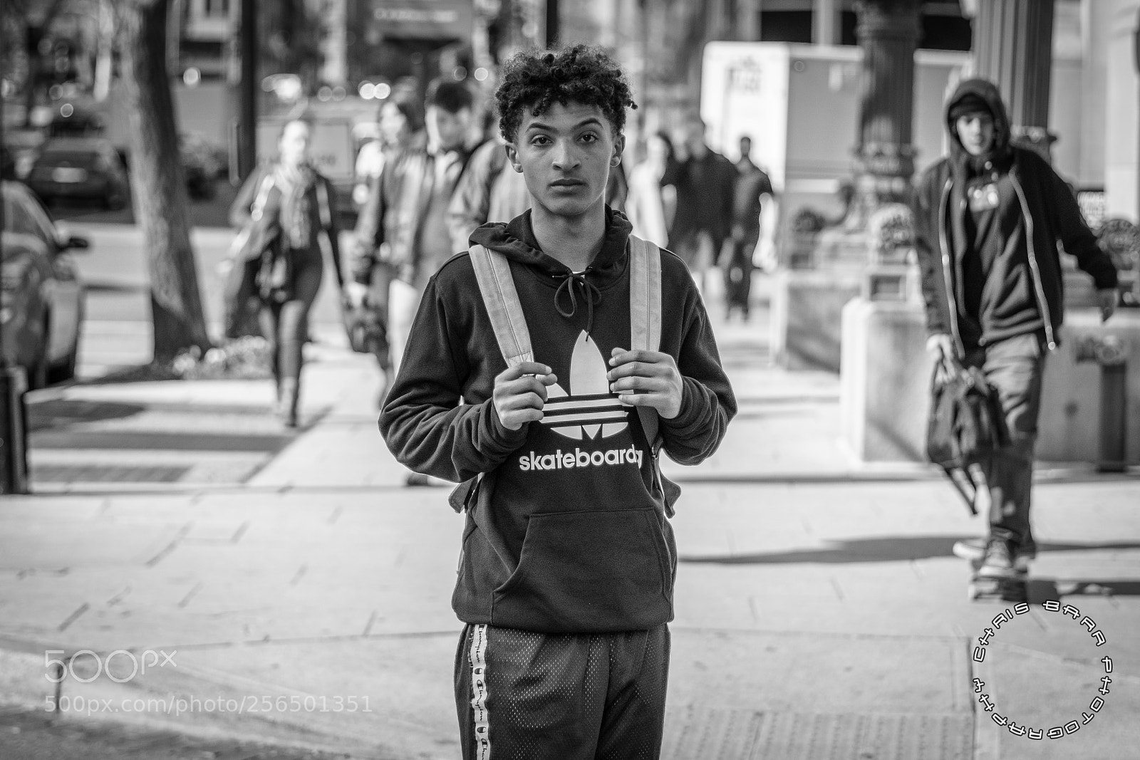 Sony a6500 sample photo. Untitled photography