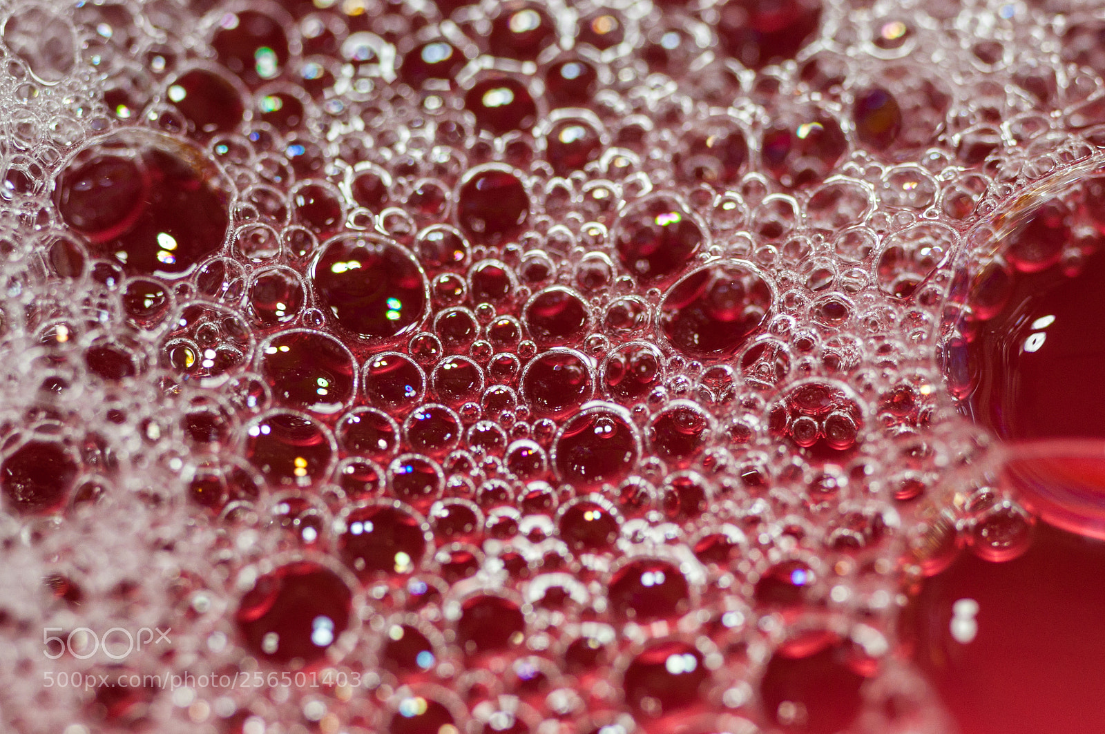 Nikon D90 sample photo. Bubbles ready to dance photography