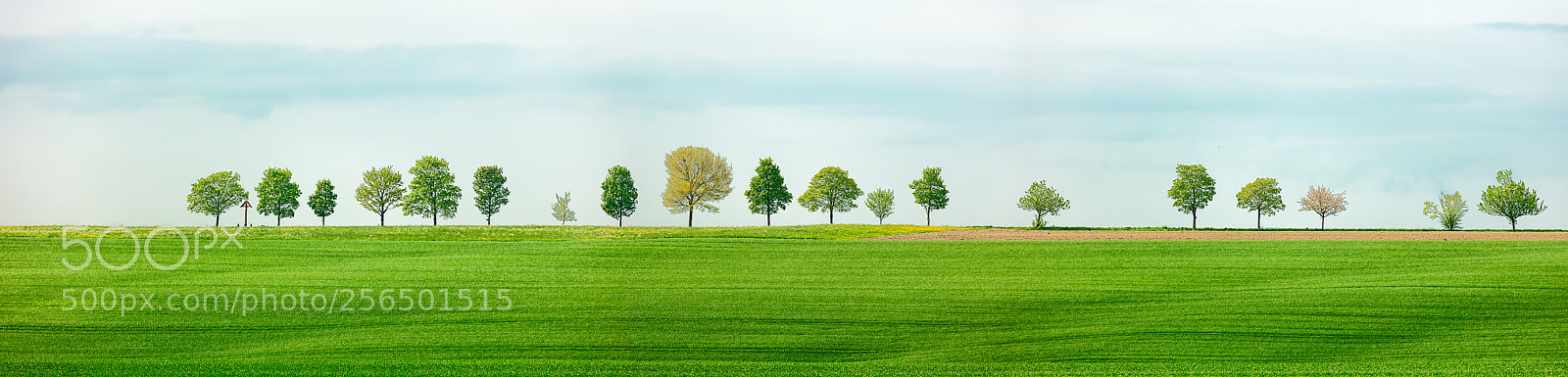 Canon EOS 5DS R sample photo. Side by side photography