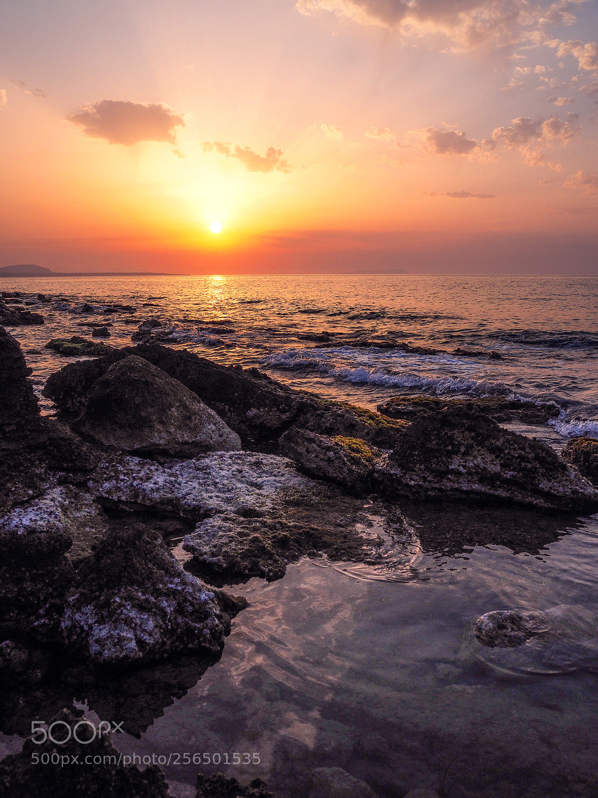 Olympus OM-D E-M10 II sample photo. *** photography