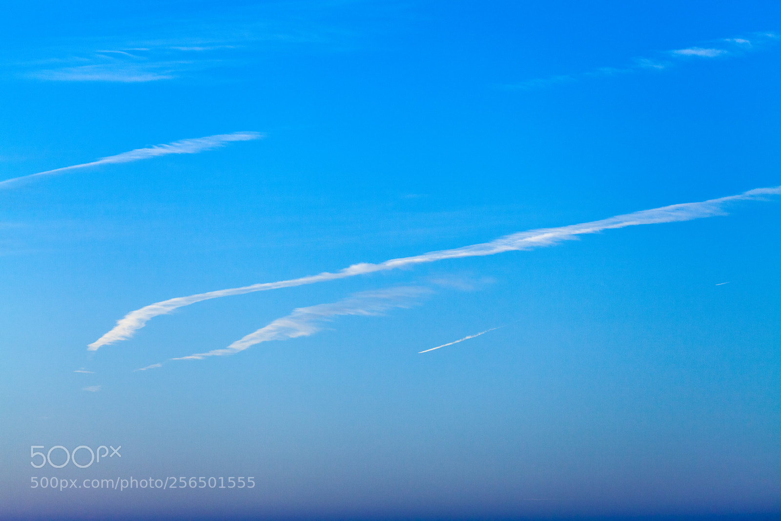 Canon EOS 5D Mark II sample photo. Untitled photography