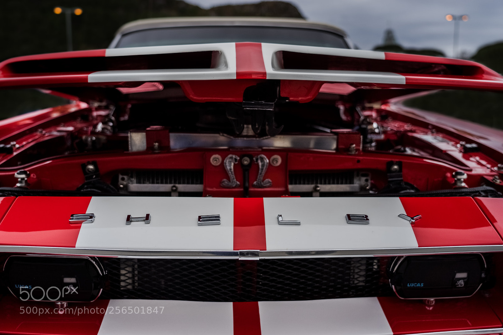 Sony a7 II sample photo. Shelby hood photography
