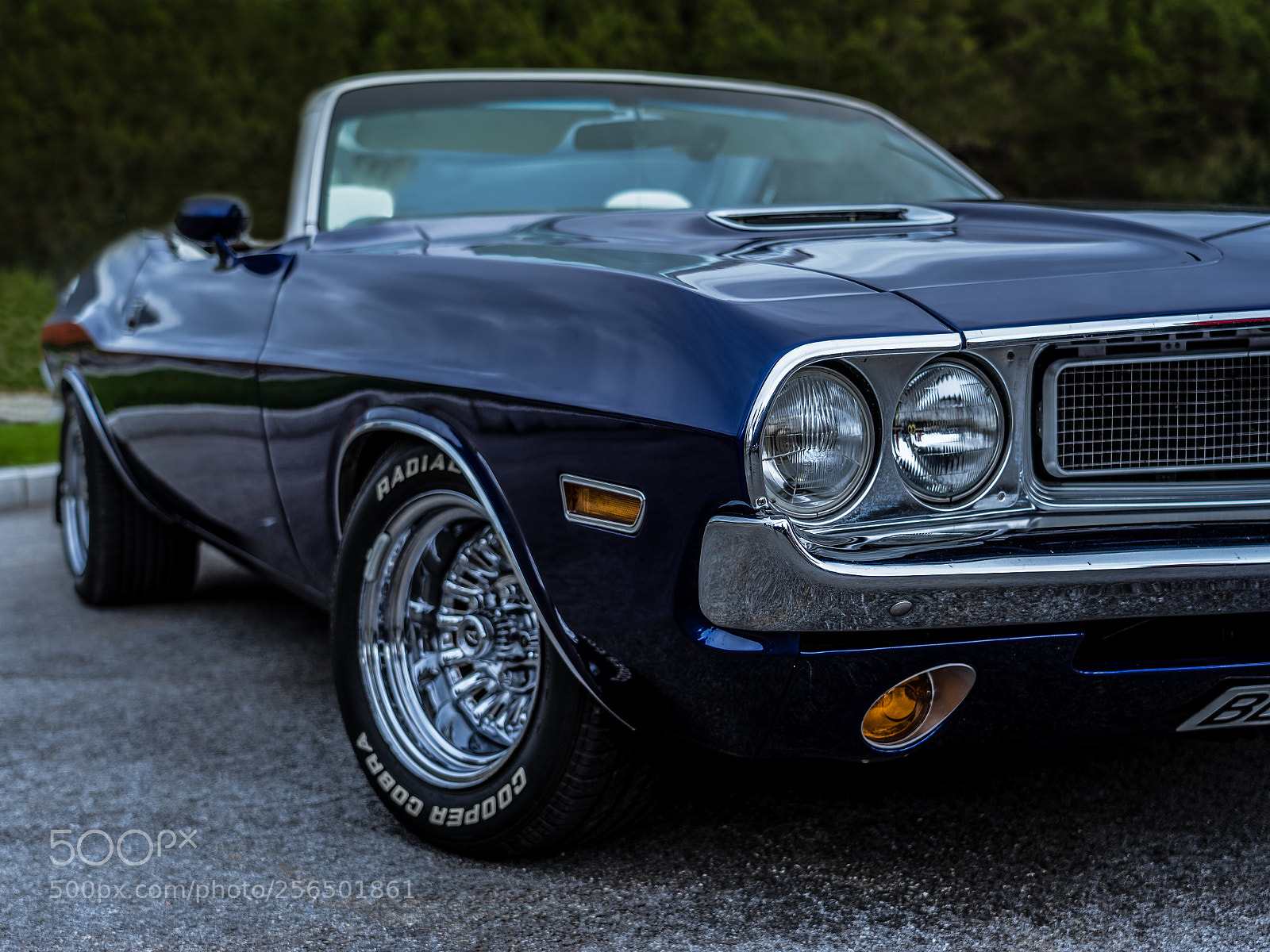 Sony a7 II sample photo. Dodge challenger photography