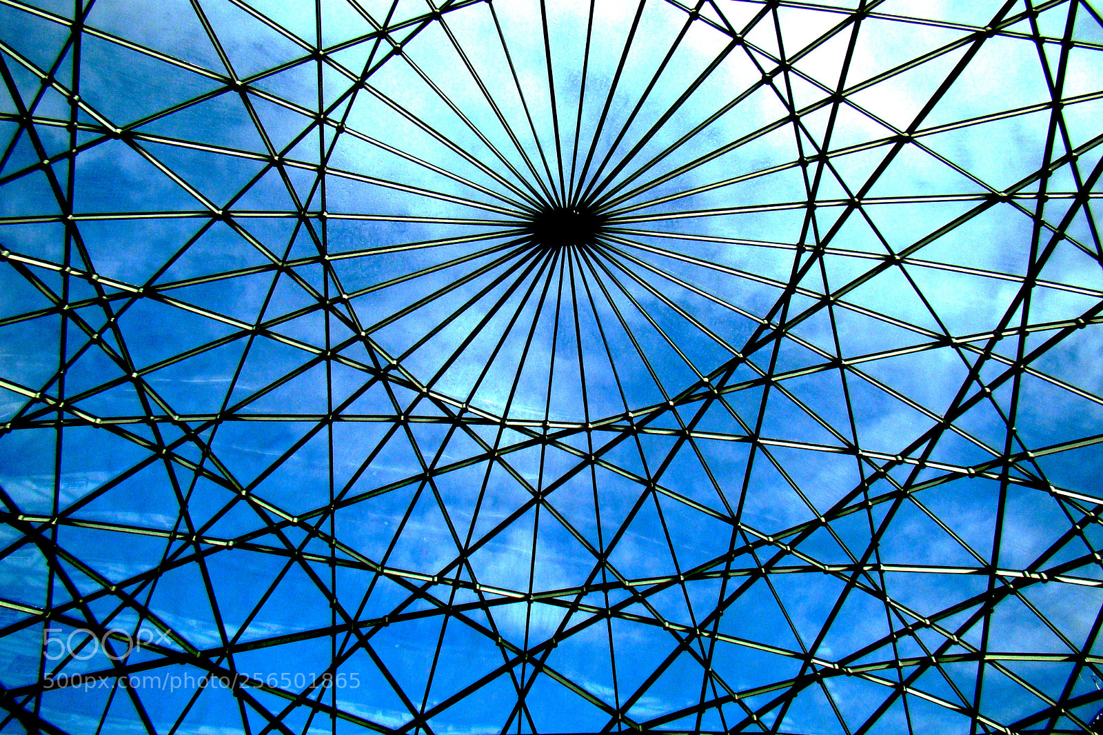 Sony Cyber-shot DSC-H50 sample photo. The spider web of photography