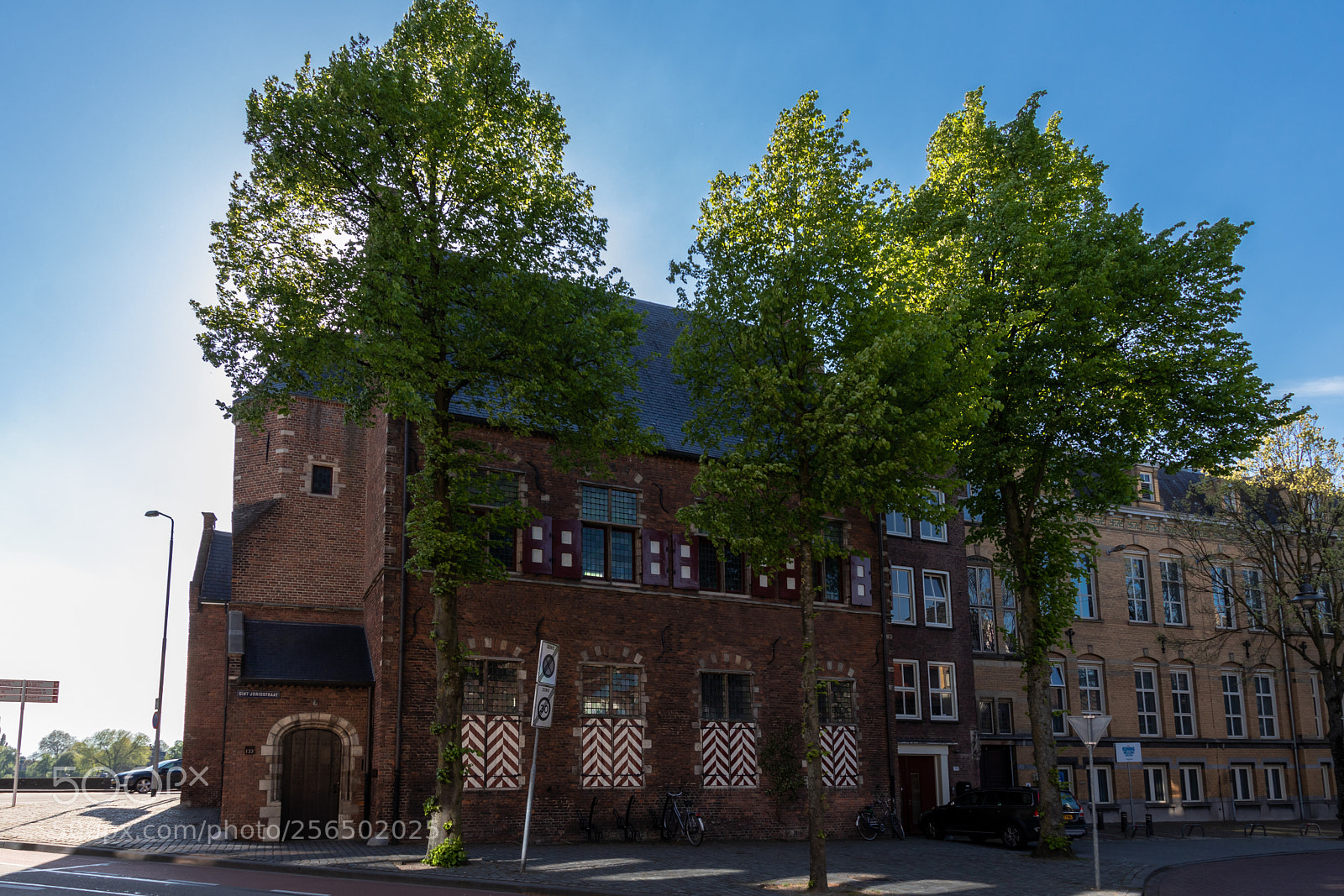 Canon EOS 80D sample photo. Stichting jheronimus bosch photography
