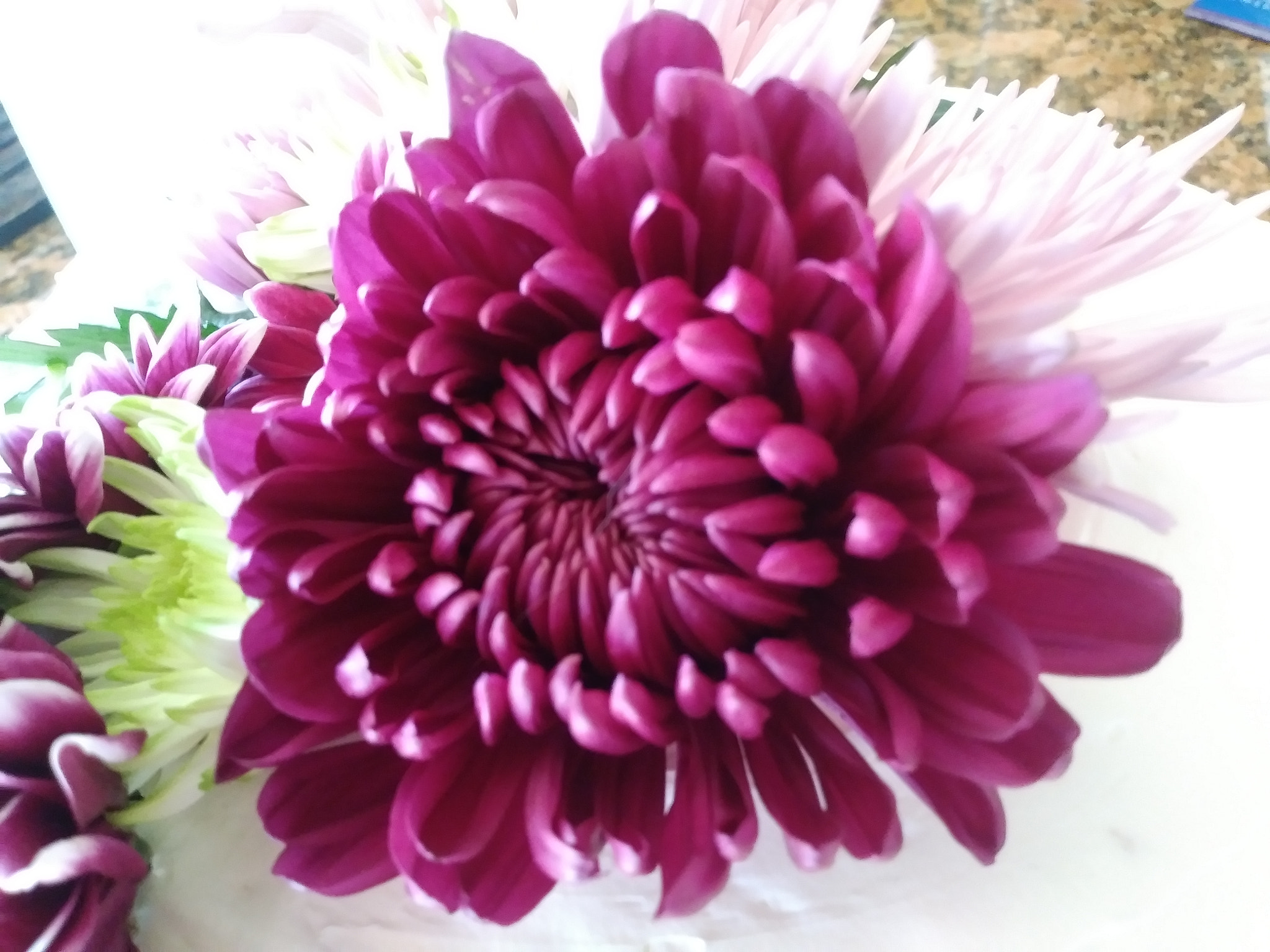 LG K20 PLUS sample photo