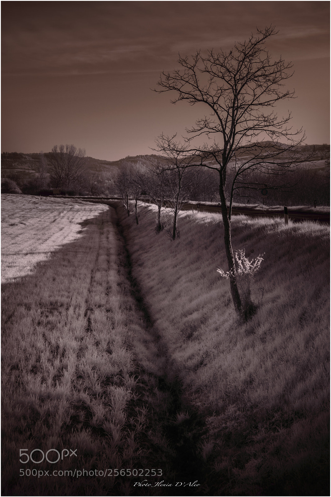 Nikon D3200 sample photo. Infrared photography
